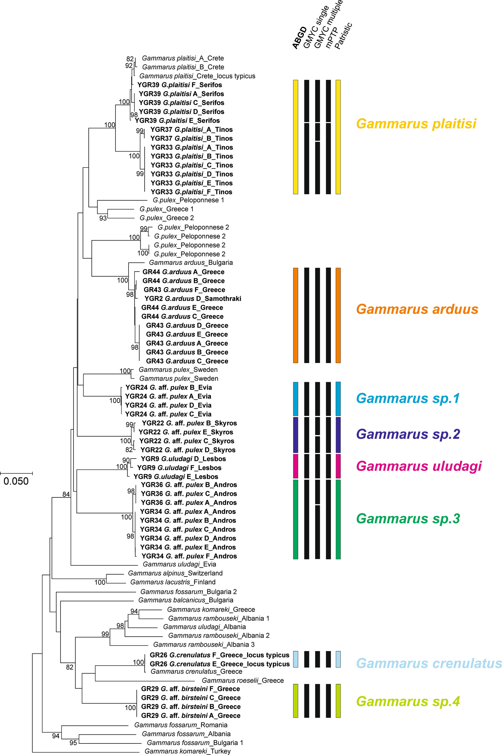 Molecular data suggest multiple origins and diversification times of  freshwater gammarids on the Aegean archipelago | Scientific Reports