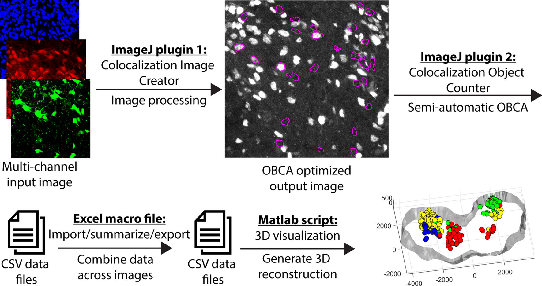 A versatile toolbox for semi-automatic cell-by-cell object-based  colocalization analysis | Scientific Reports