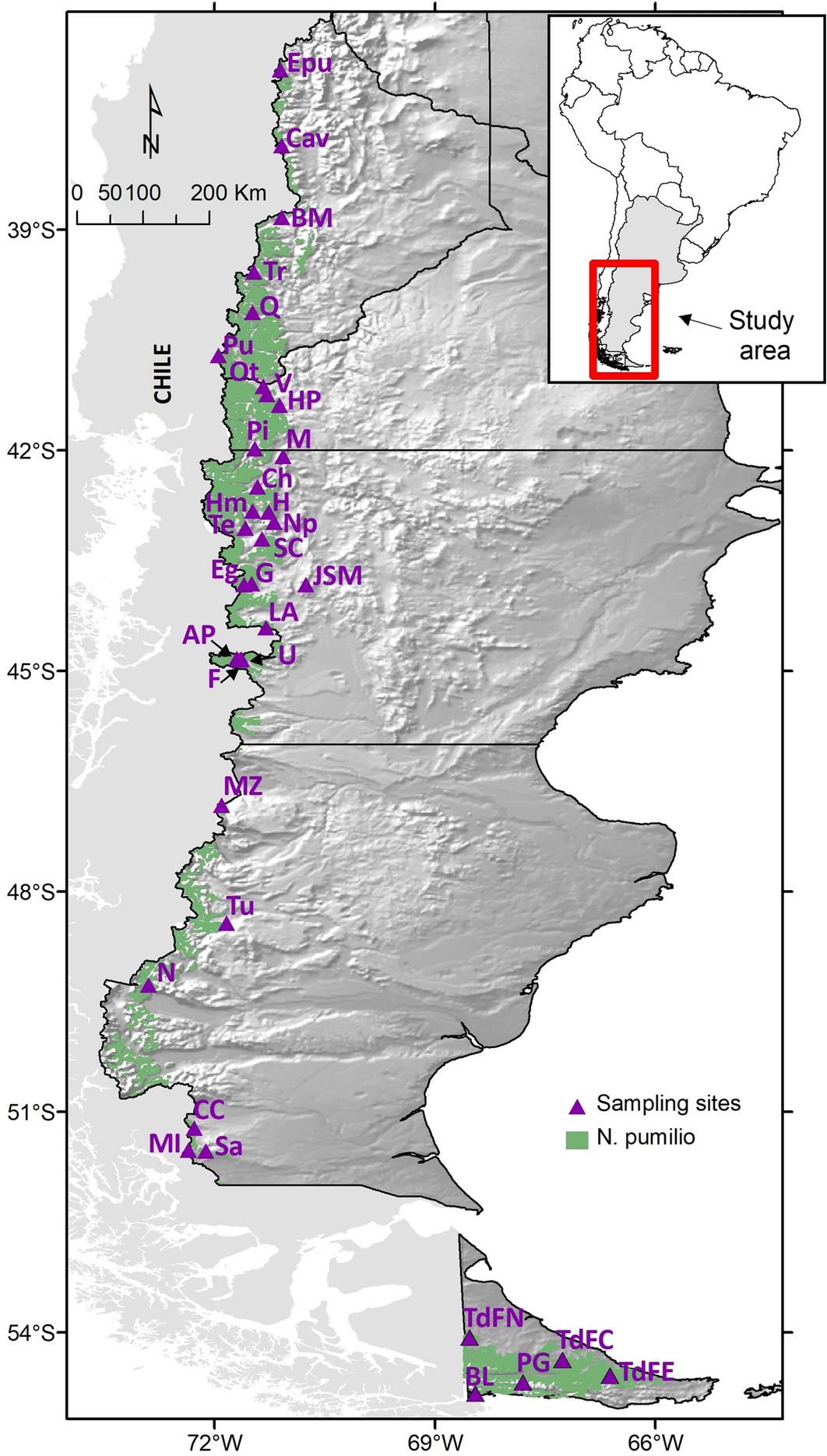 Genetic diversity and population structure in Nothofagus pumilio, a  foundation species of Patagonian forests: defining priority conservation  areas and management | Scientific Reports