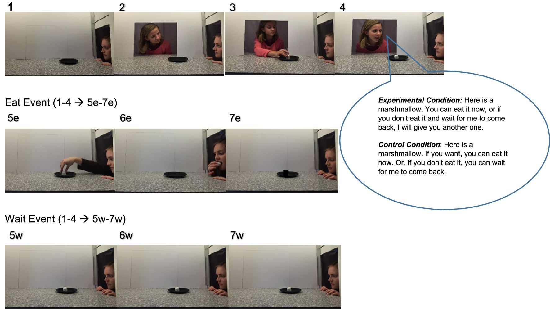 Infant Expectations Of Instant Or Delayed Gratification Scientific Reports Infant Expectations Of Instant Or Delayed Gratification Scientific Reports