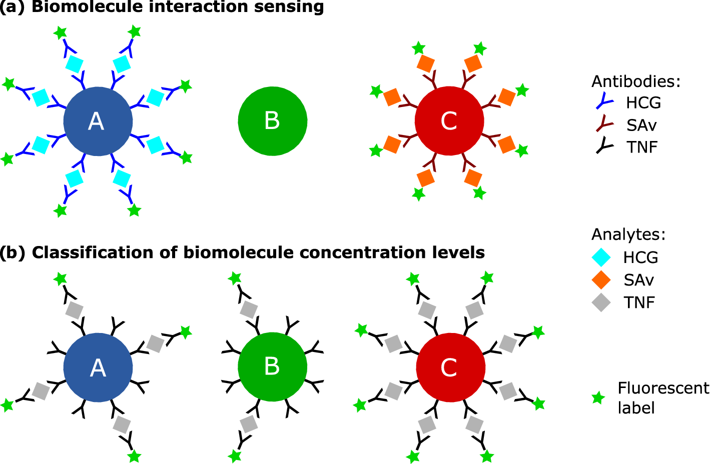 Lifetime encoding in flow cytometry for bead-based sensing of biomolecular  interaction | Scientific Reports