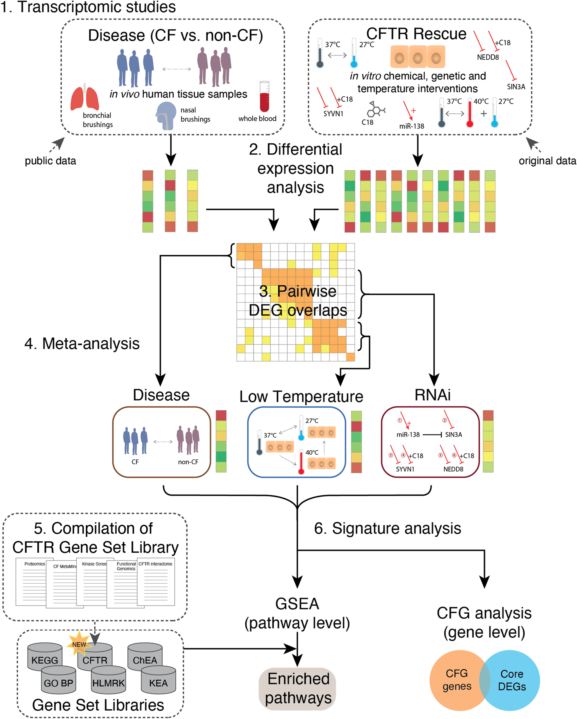 Integrative Genomic Meta Analysis Reveals Novel Molecular Insights Into Cystic Fibrosis And Df508 Cftr Rescue Scientific Reports
