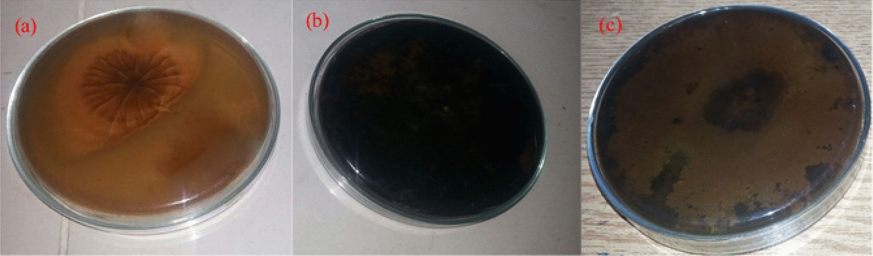 glutathione peroxidase skin lightening as a skinlightening agent and in melasma: a systematic review - Sarkar - 2025 - International Journal of Dermatology Glutathione Whitening Pills - 120