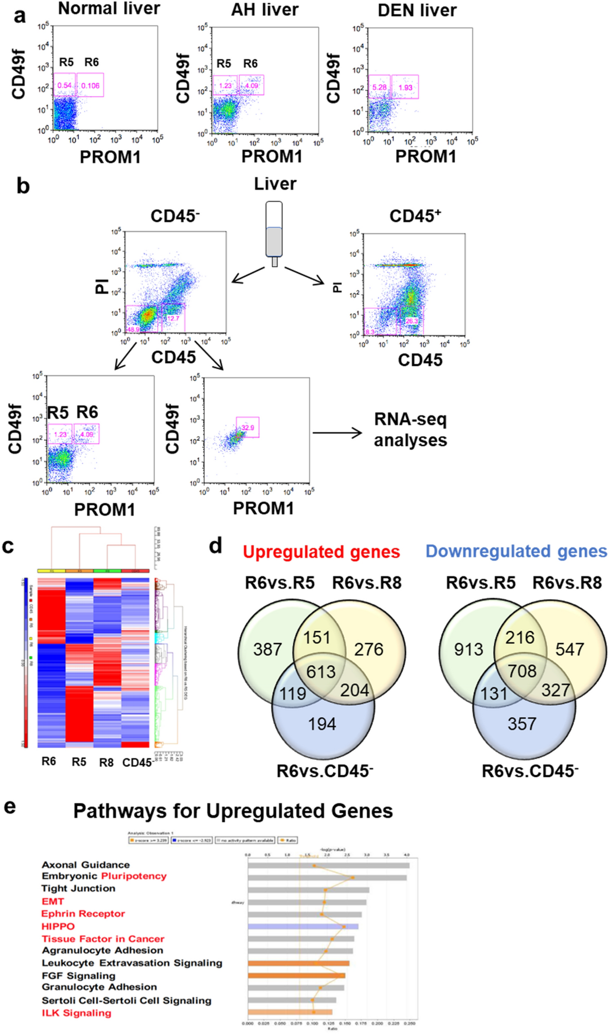 Fate And Functional Roles Of Prominin 1 Cells In Liver Injury And Cancer Scientific Reports Fate And Functional Roles Of Prominin 1 Cells In Liver Injury And Cancer Scientific Reports