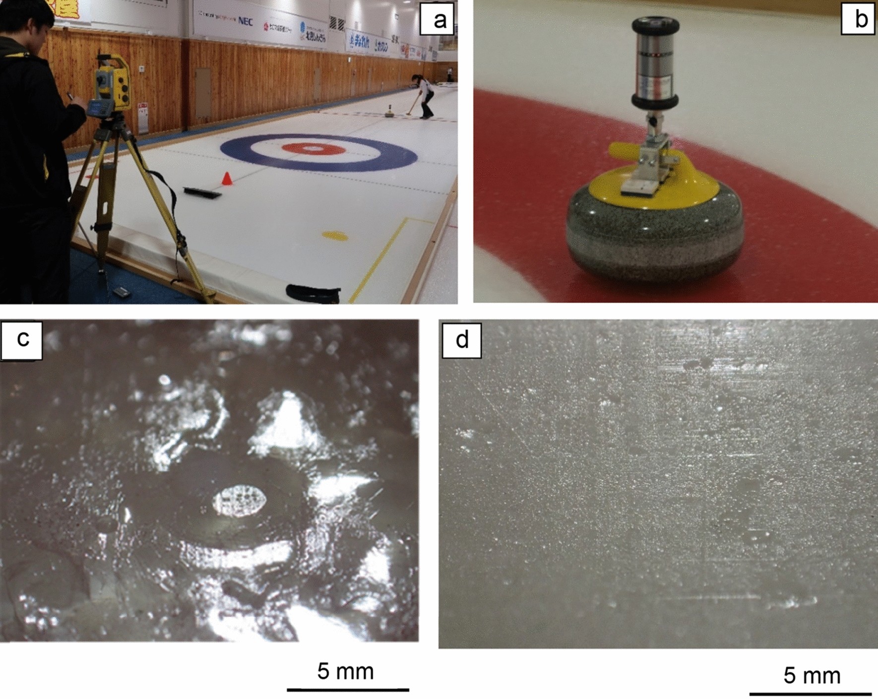Curling Game Stone Set Complete Set of Rocks with Holder ~ Cool Curling 