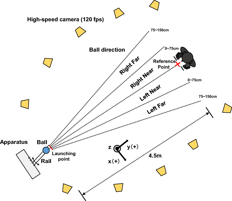 Mean proportion of steps produced by blind, blindfolded, and sighted