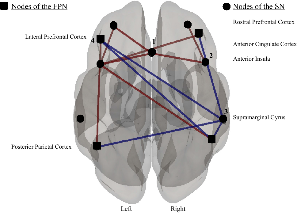 File:Enhanced functional connectivity of insula in high elo action