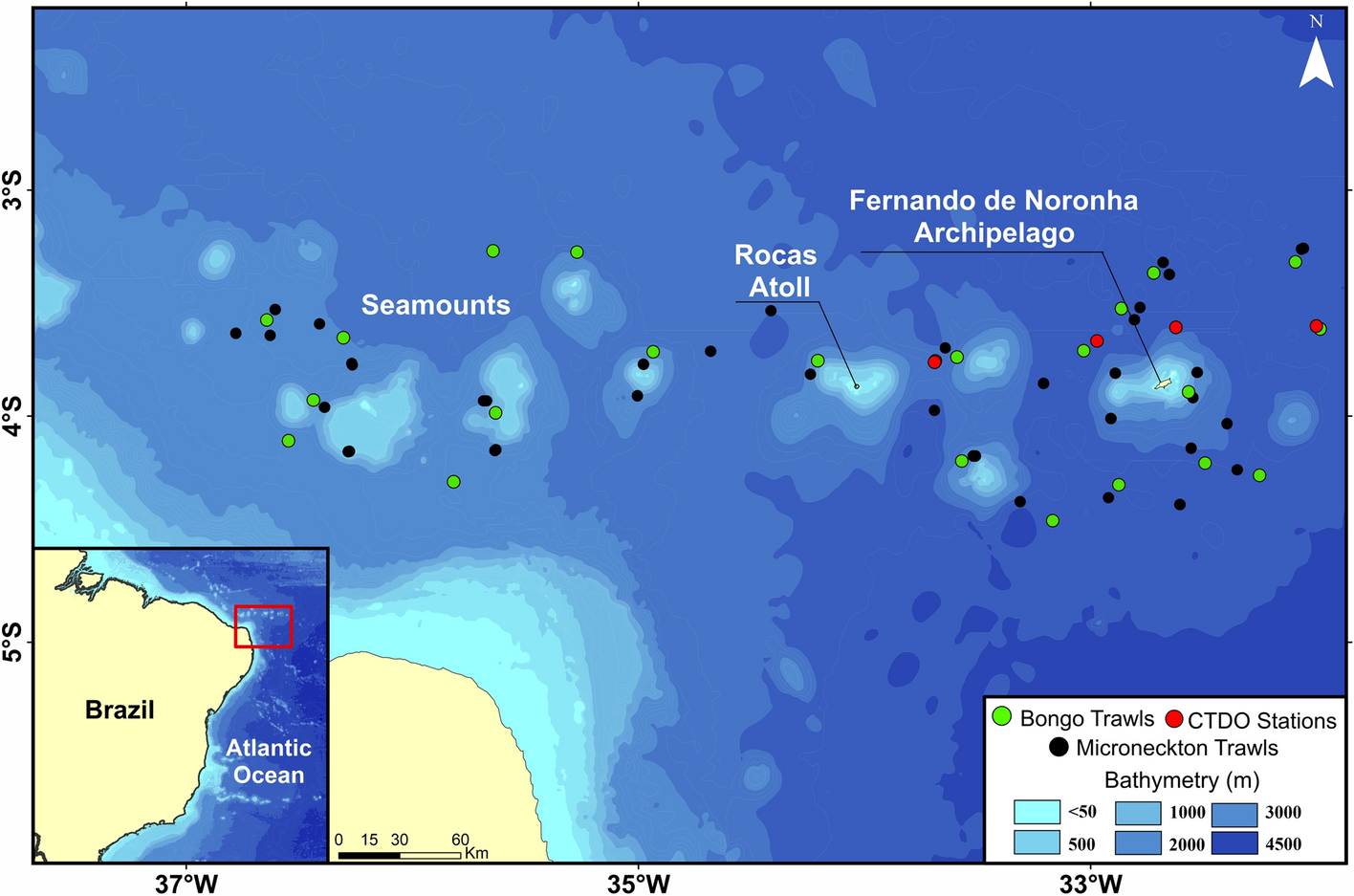Trophic ecology, habitat, and migratory behaviour of the viperfish  Chauliodus sloani reveal a key mesopelagic player