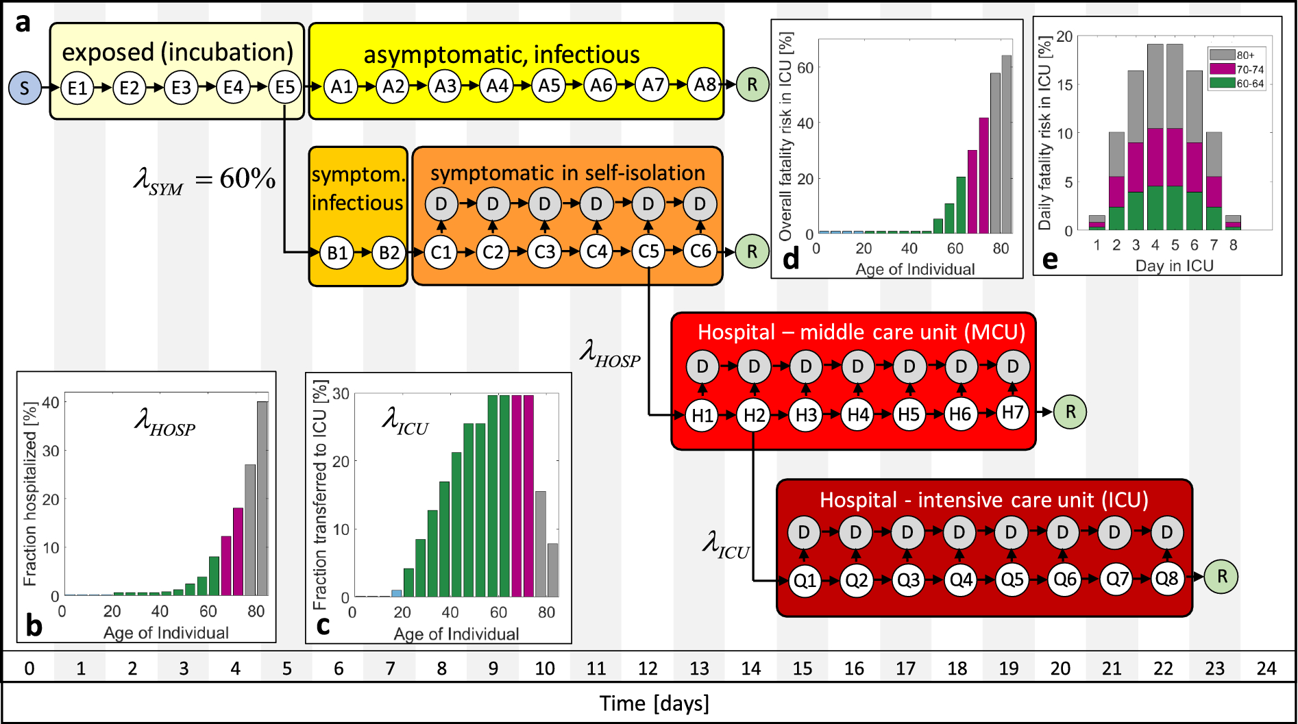 Age-stratified discrete compartment model of the COVID-19 epidemic with  application to Switzerland | Scientific Reports