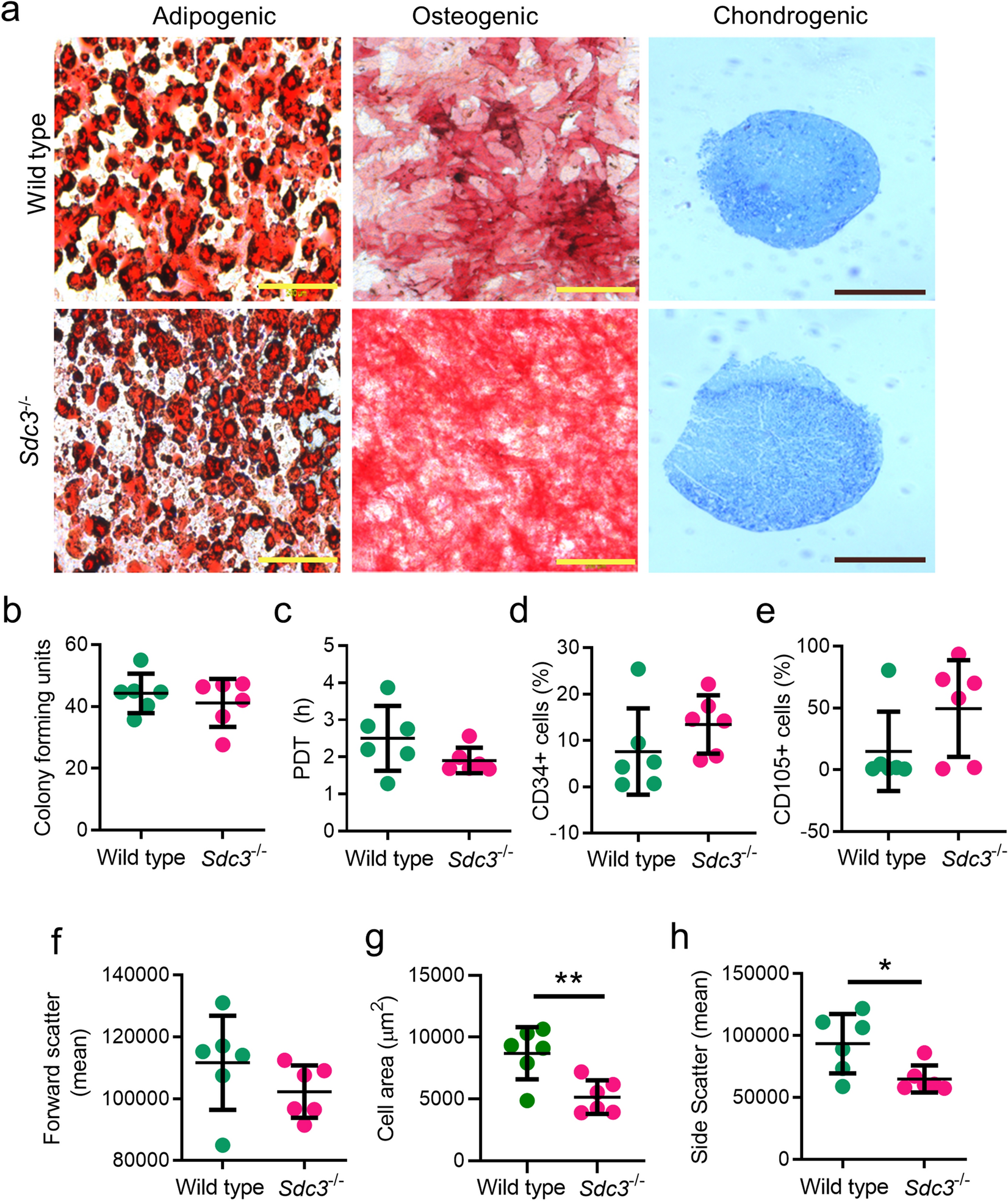 Syndecan-3 is selectively pro-inflammatory in the joint and contributes to  antigen-induced arthritis in mice, Arthritis Research & Therapy