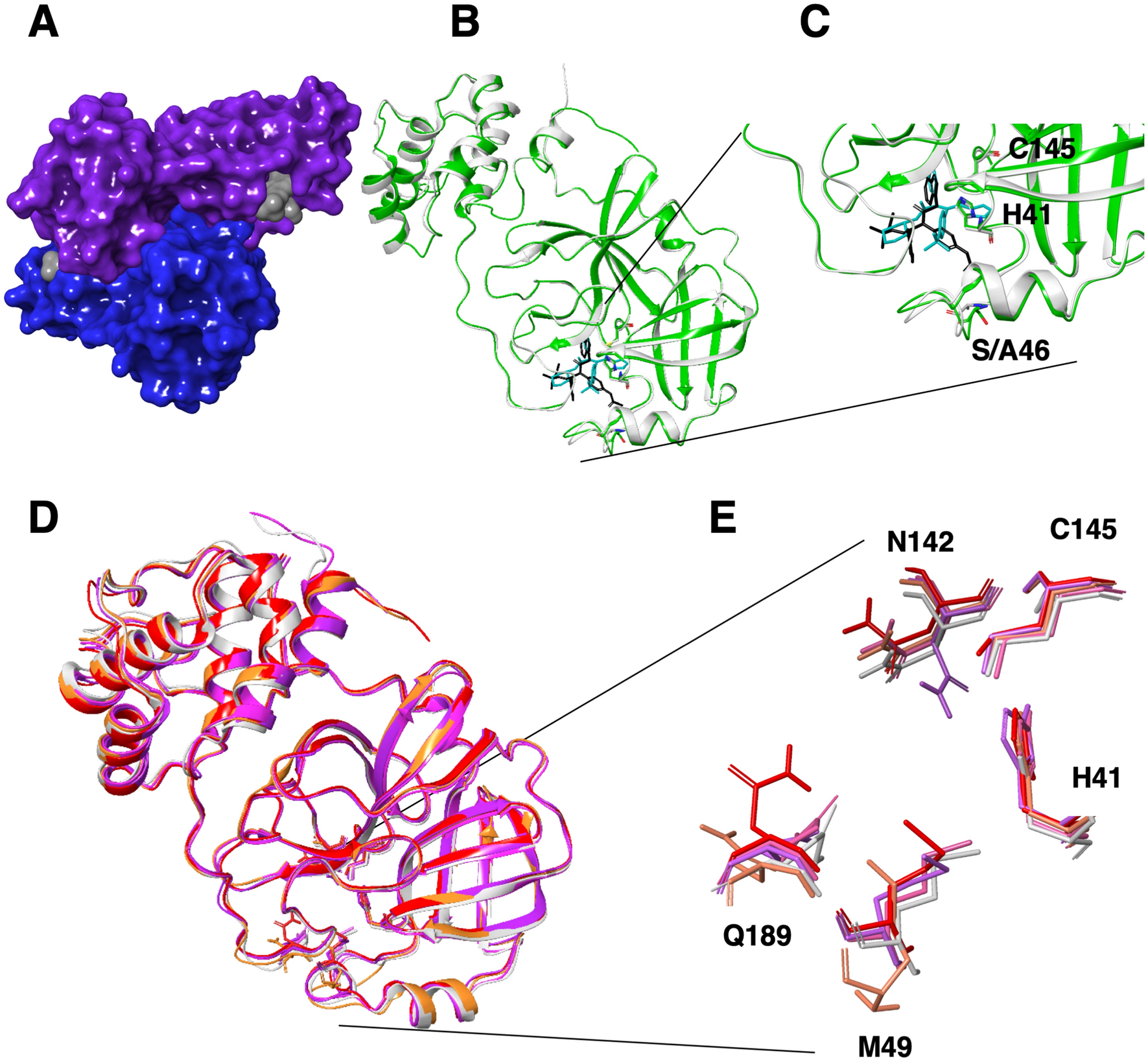 Potent Noncovalent Inhibitors of the Main Protease of SARS-CoV-2