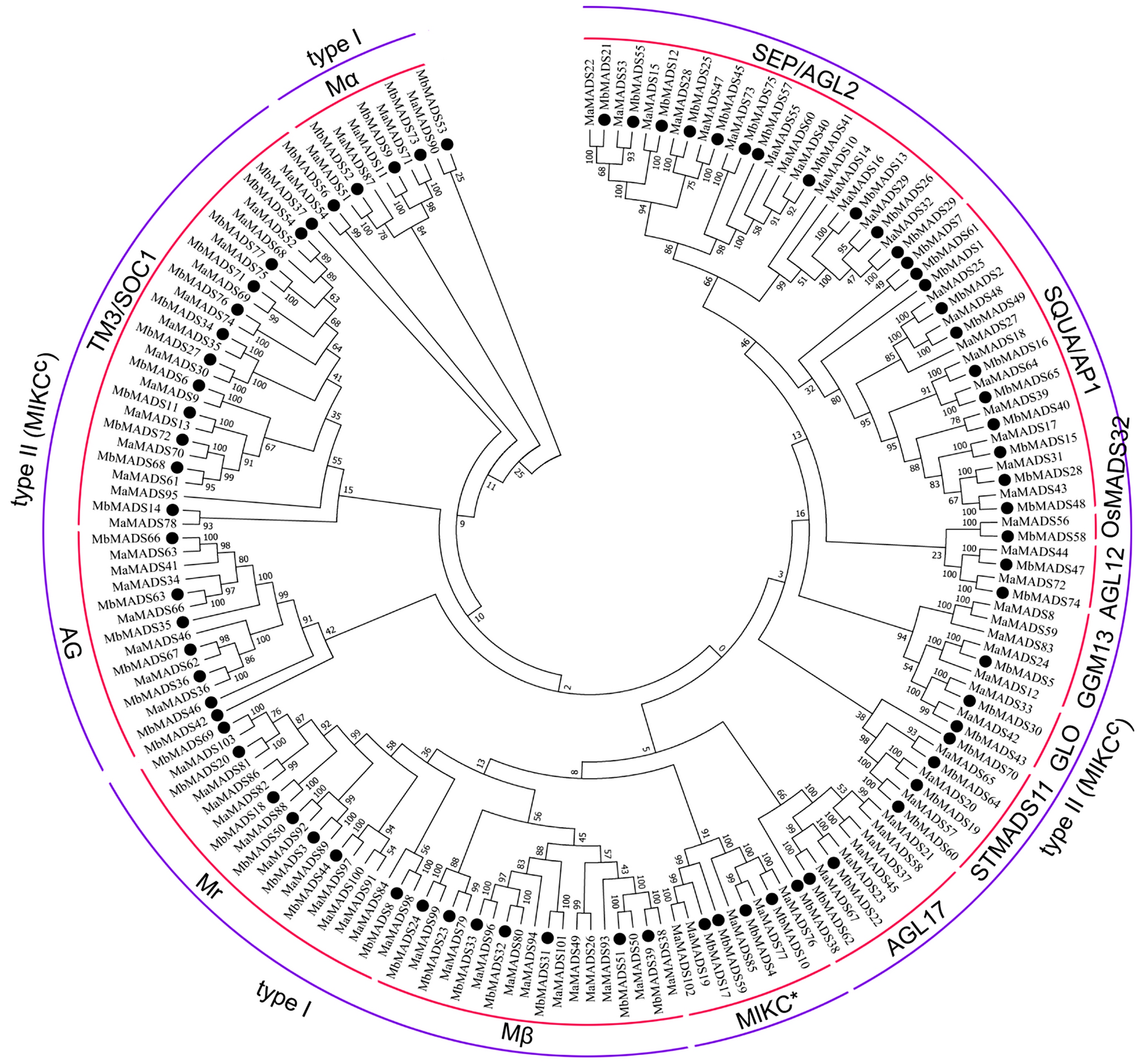 https://media.springernature.com/full/springer-static/image/art%3A10.1038%2Fs41598-020-77870-w/MediaObjects/41598_2020_77870_Fig1_HTML.png