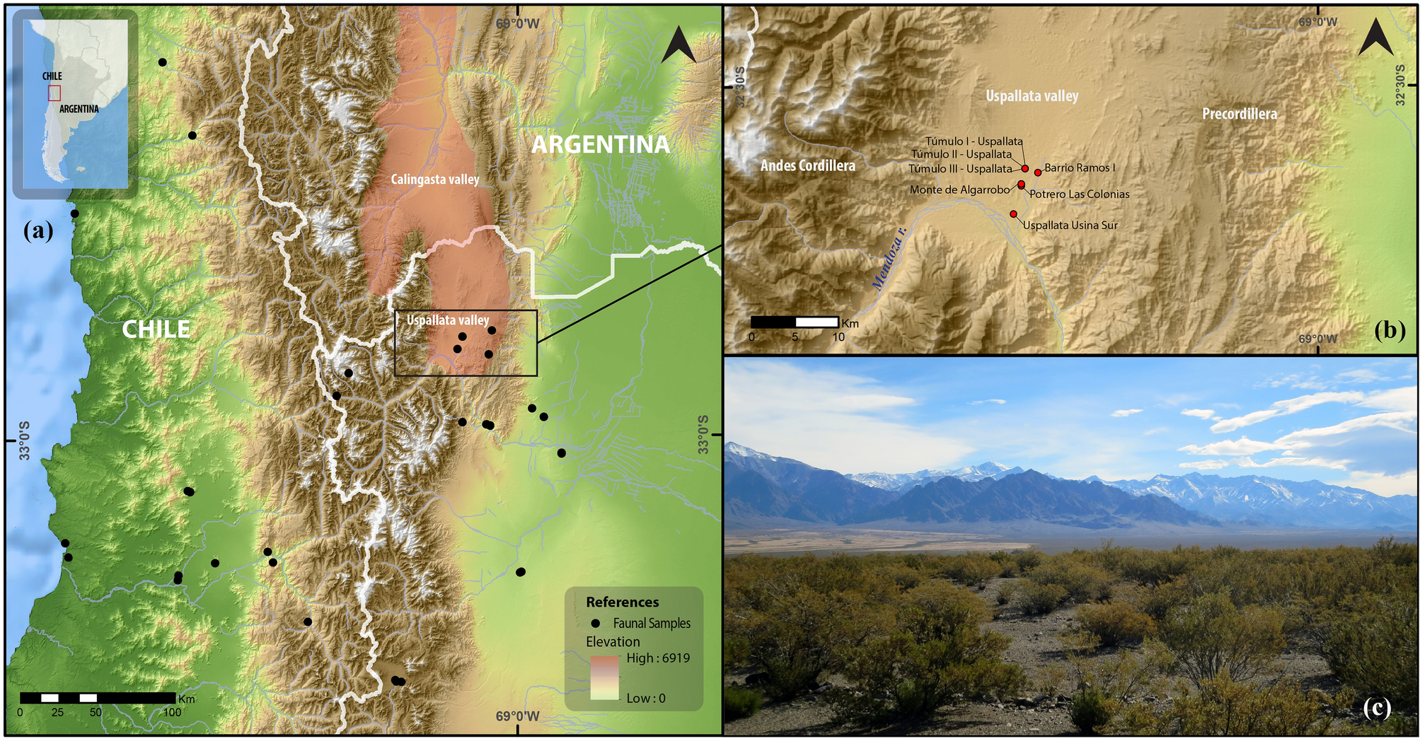 Multi Isotopic And Morphometric Evidence For The Migration Of Farmers Leading Up To The Inka Conquest Of The Southern Andes Scientific Reports