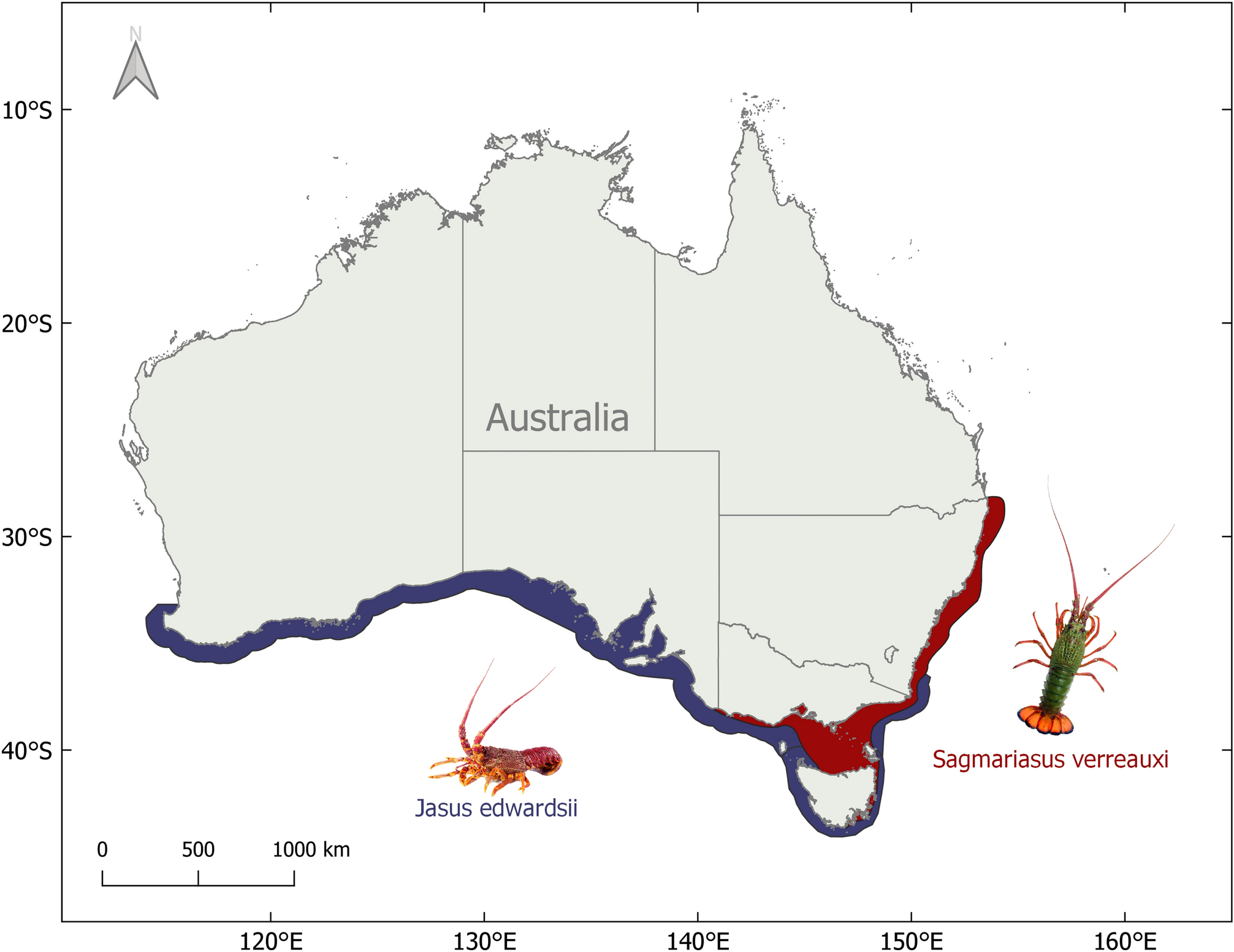 Mismatch of thermal optima between performance measures, life stages and  species of spiny lobster | Scientific Reports