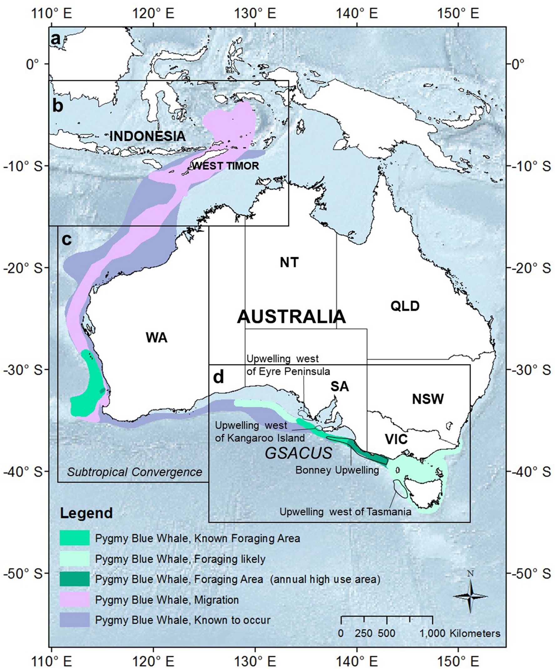 Movements And Behaviour Of Blue Whales Satellite ged In An Australian Upwelling System Scientific Reports