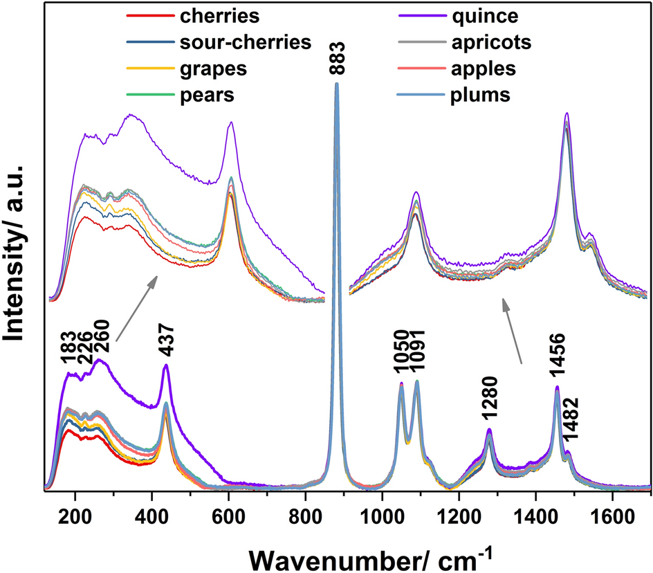 Application of Raman spectroscopy and Machine Learning algorithms for fruit  distillates discrimination | Scientific Reports