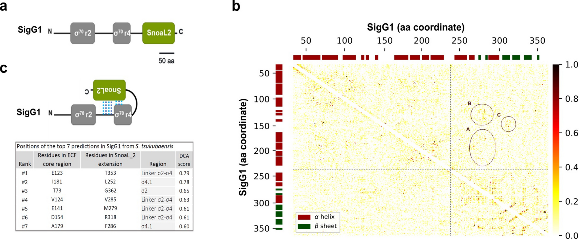 The Novel Ecf56 Sigg1 Rsfg System Modulates Morphological Differentiation And Metal Ion Homeostasis In Streptomyces Tsukubaensis Scientific Reports