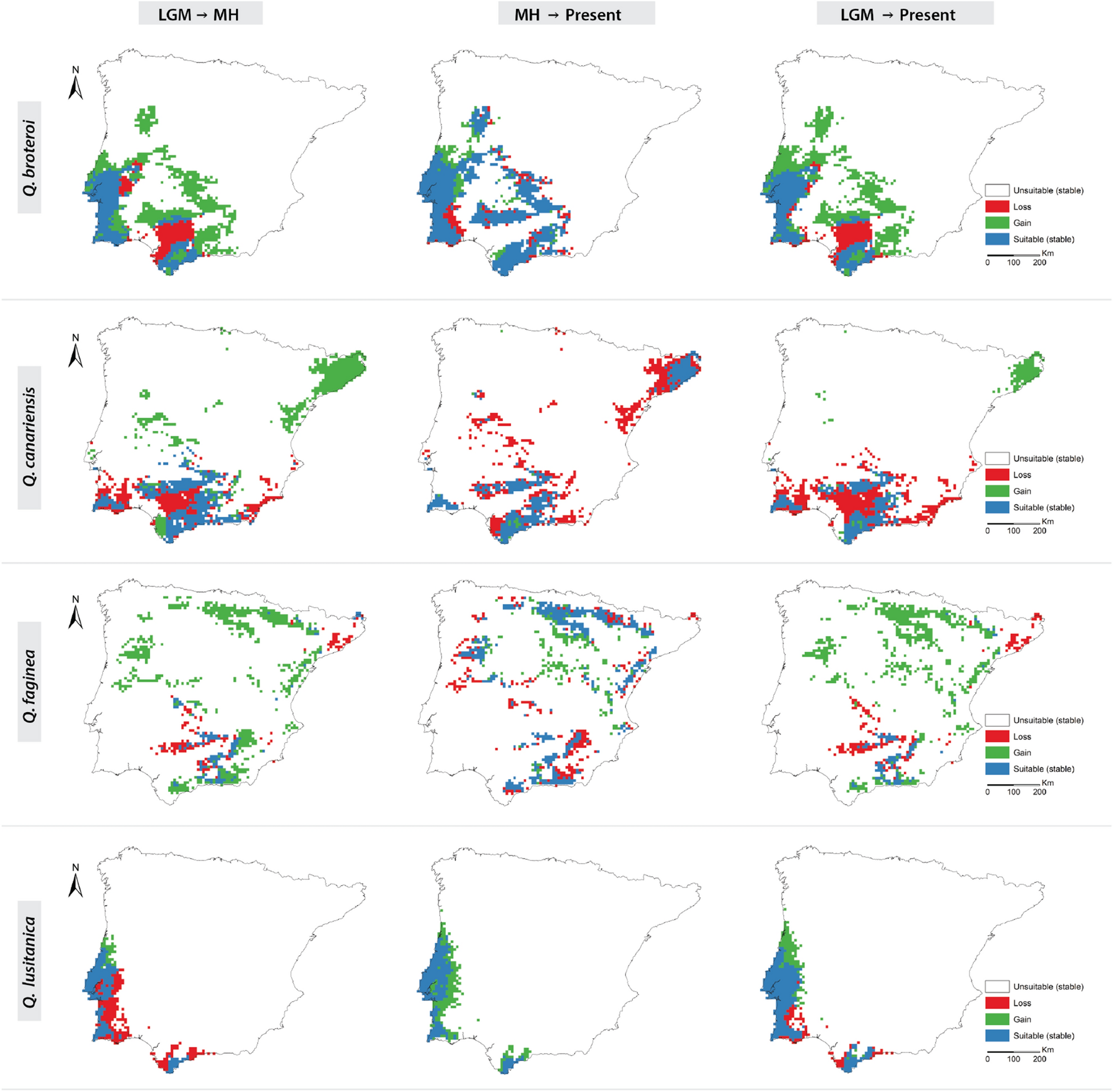 Late Quaternary Range Shifts Of Marcescent Oaks Unveil The Dynamics Of A Major Biogeographic Transition In Southern Europe Scientific Reports