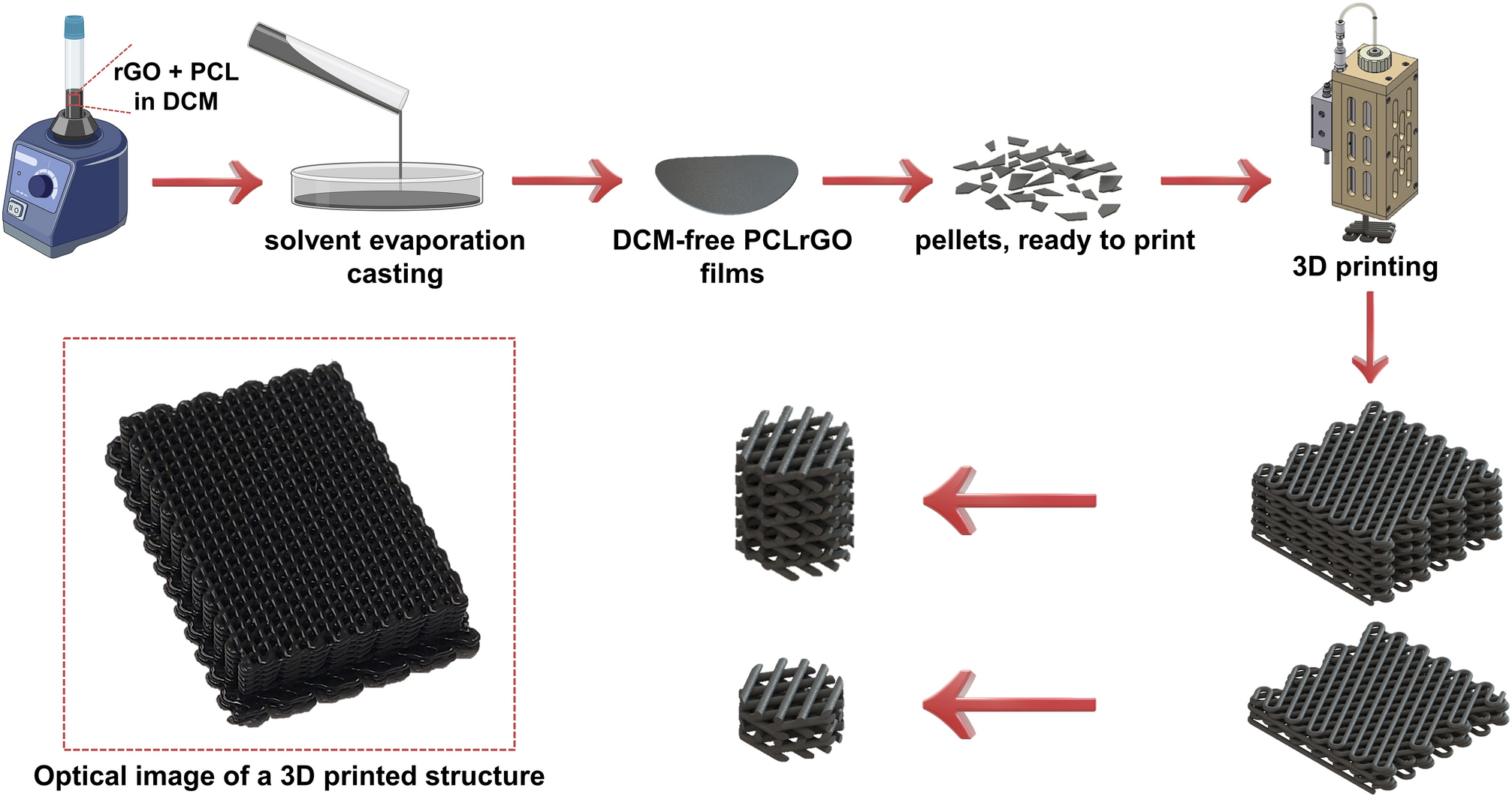 Fabrication and characterization of mechanically competent 3D printed  polycaprolactone-reduced graphene oxide scaffolds | Scientific Reports