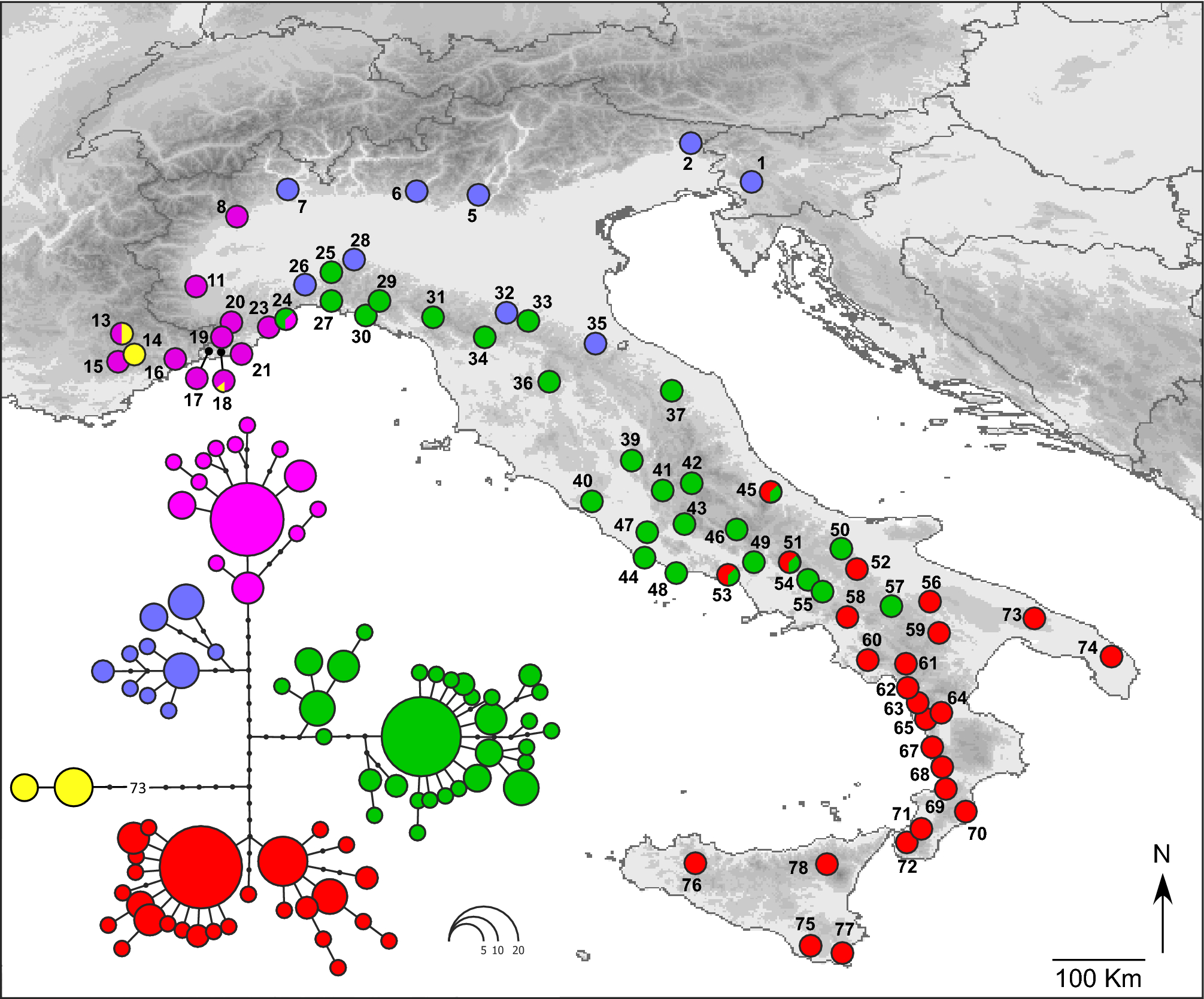Reconstructing hotspots of genetic diversity from glacial refugia and  subsequent dispersal in Italian common toads (Bufo bufo) | Scientific  Reports