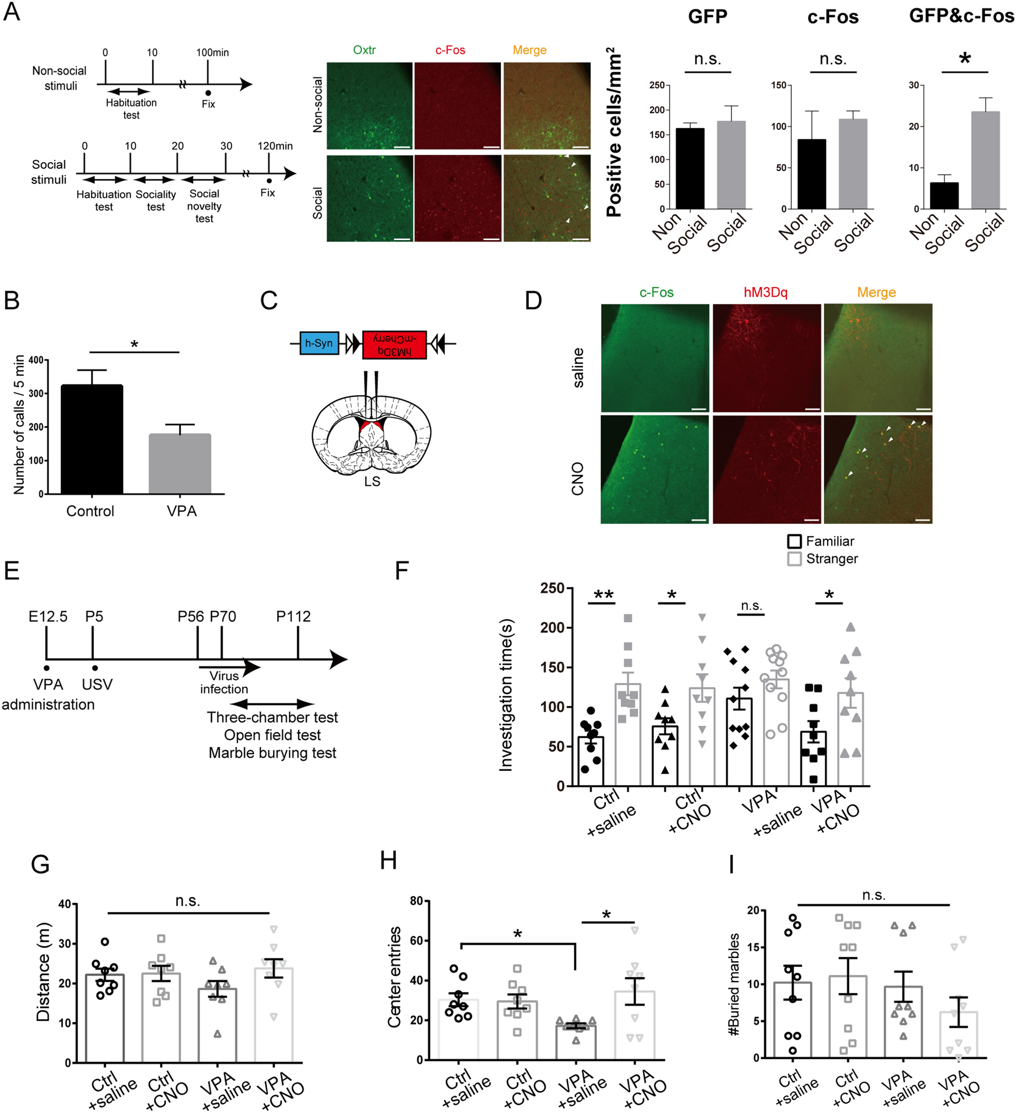 A behavioral comparison of the common laboratory rat strains Lister Hooded,  Lewis, Fischer 344 and Wistar in an automated homecage system - Clemens -  2014 - Genes, Brain and Behavior - Wiley Online Library