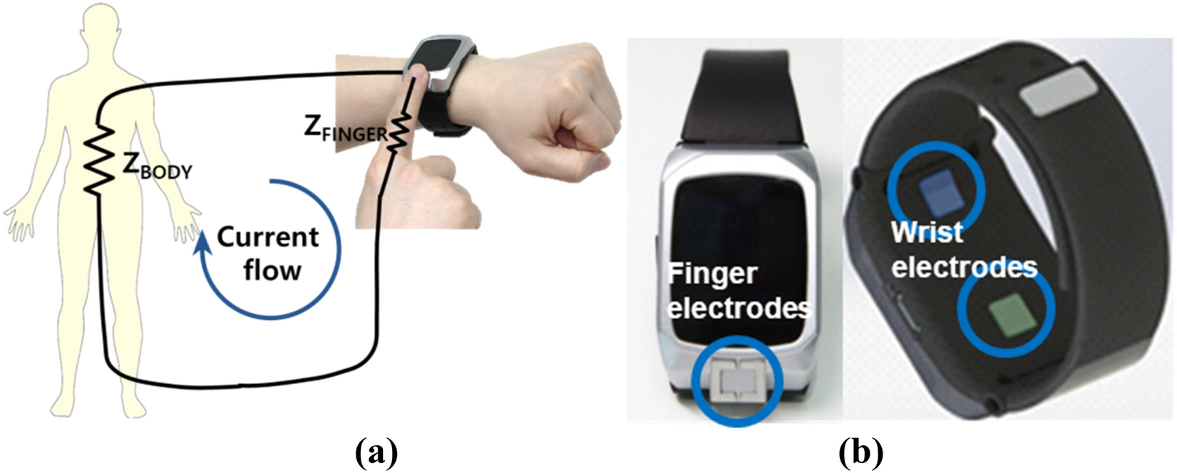 Wrist-wearable bioelectrical impedance analyzer with miniature