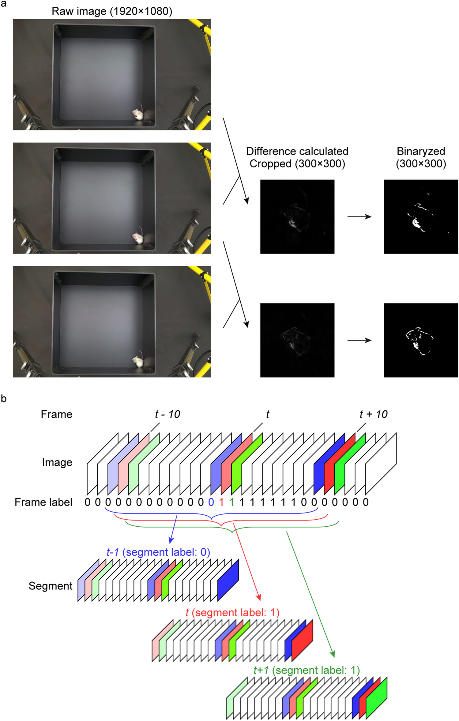 Automated detection of mouse scratching behaviour using convolutional  recurrent neural network | Scientific Reports