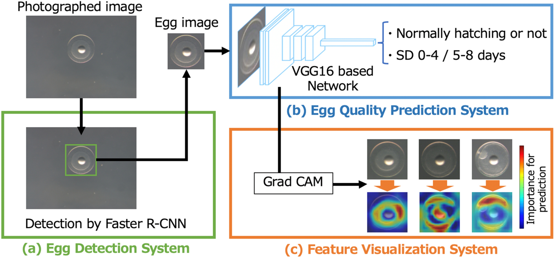 Vision Based Egg Quality Prediction In Pacific Bluefin Tuna Thunnus Orientalis By Deep Neural Network Scientific Reports Vision Based Egg Quality Prediction In Pacific Bluefin Tuna Thunnus Orientalis By Deep Neural Network Scientific Reports