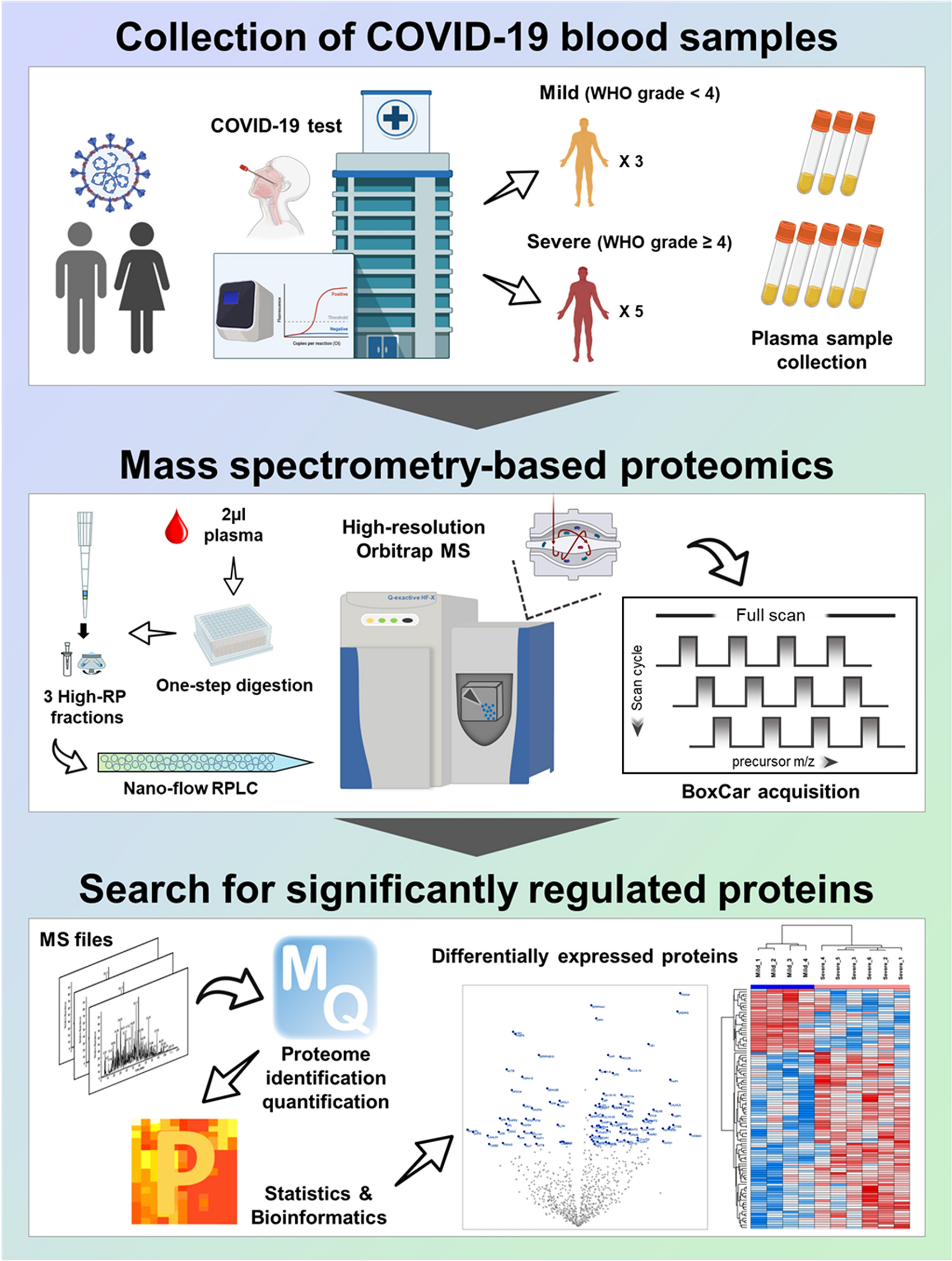 In-depth blood proteome profiling analysis revealed distinct functional  characteristics of plasma proteins between severe and non-severe COVID-19  patients | Scientific Reports