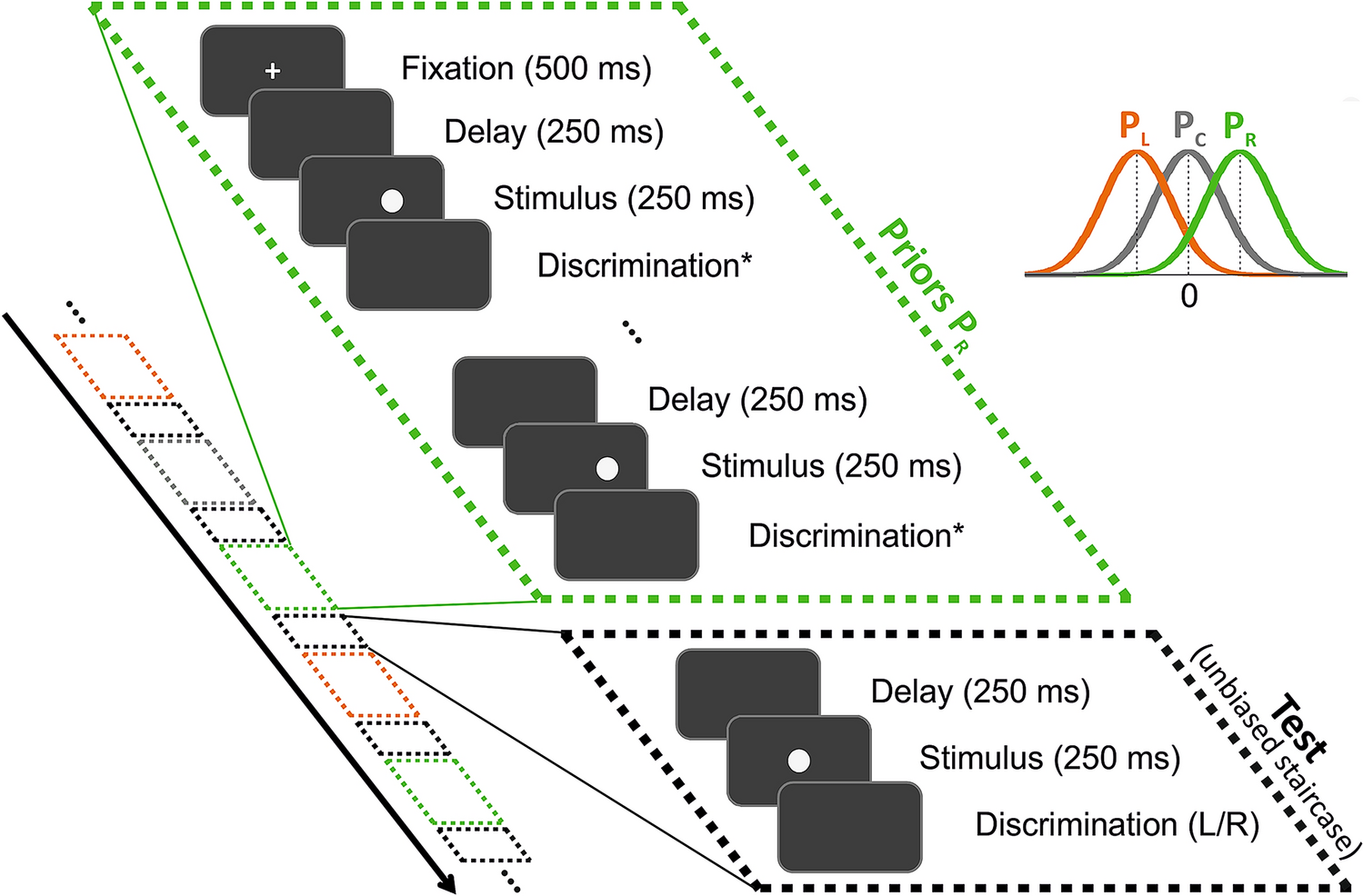 Dynamics of Visual Perceptual Decision-Making in Freely Behaving