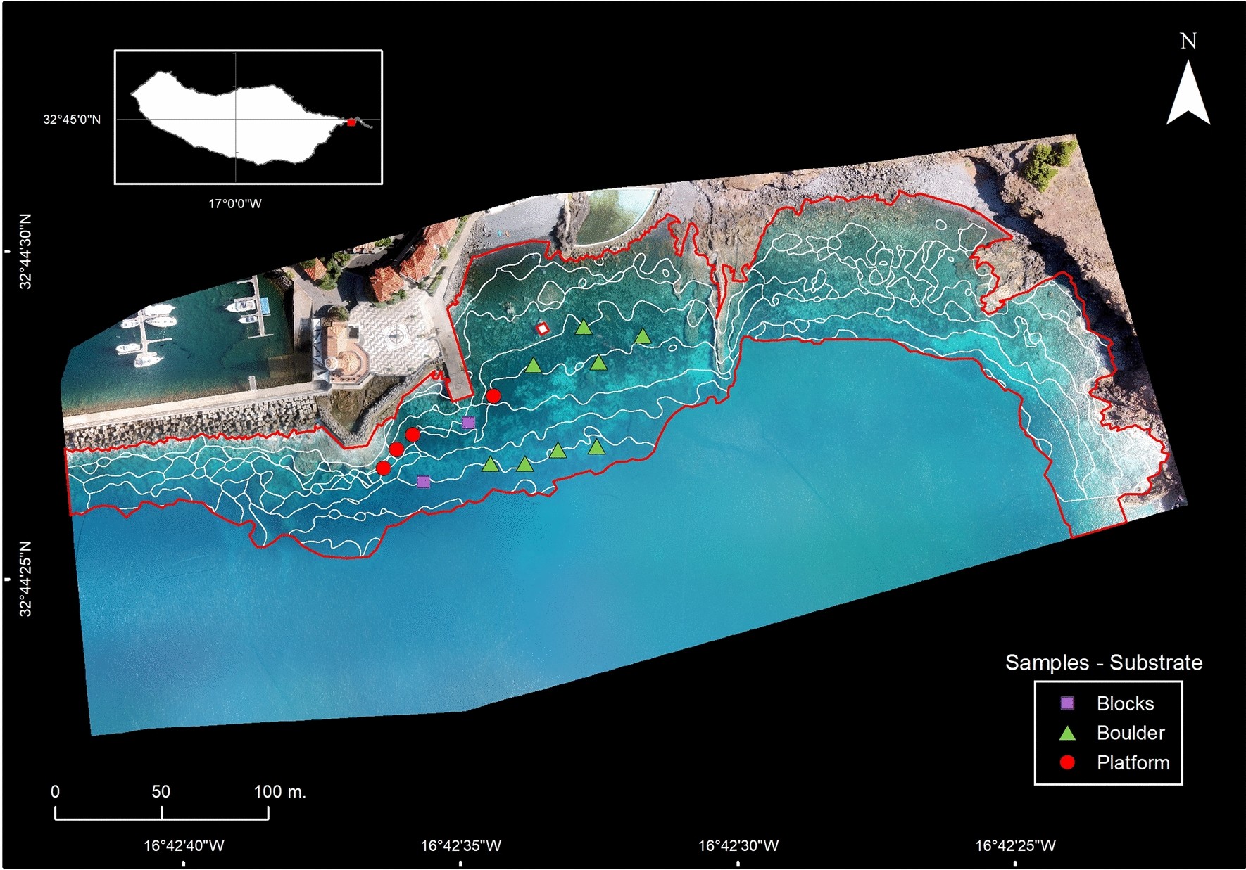 Novel approach to enhance coastal habitat and biotope mapping with drone  aerial imagery analysis | Scientific Reports