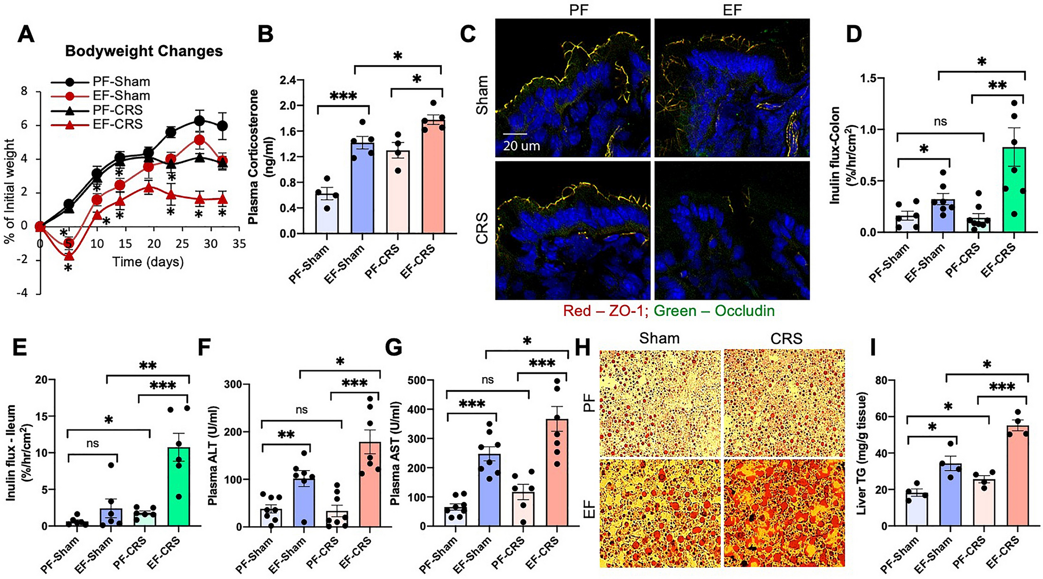 Chronic Stress And Corticosterone Exacerbate Alcohol Induced Tissue Injury In The Gut Liver Brain Axis Scientific Reports