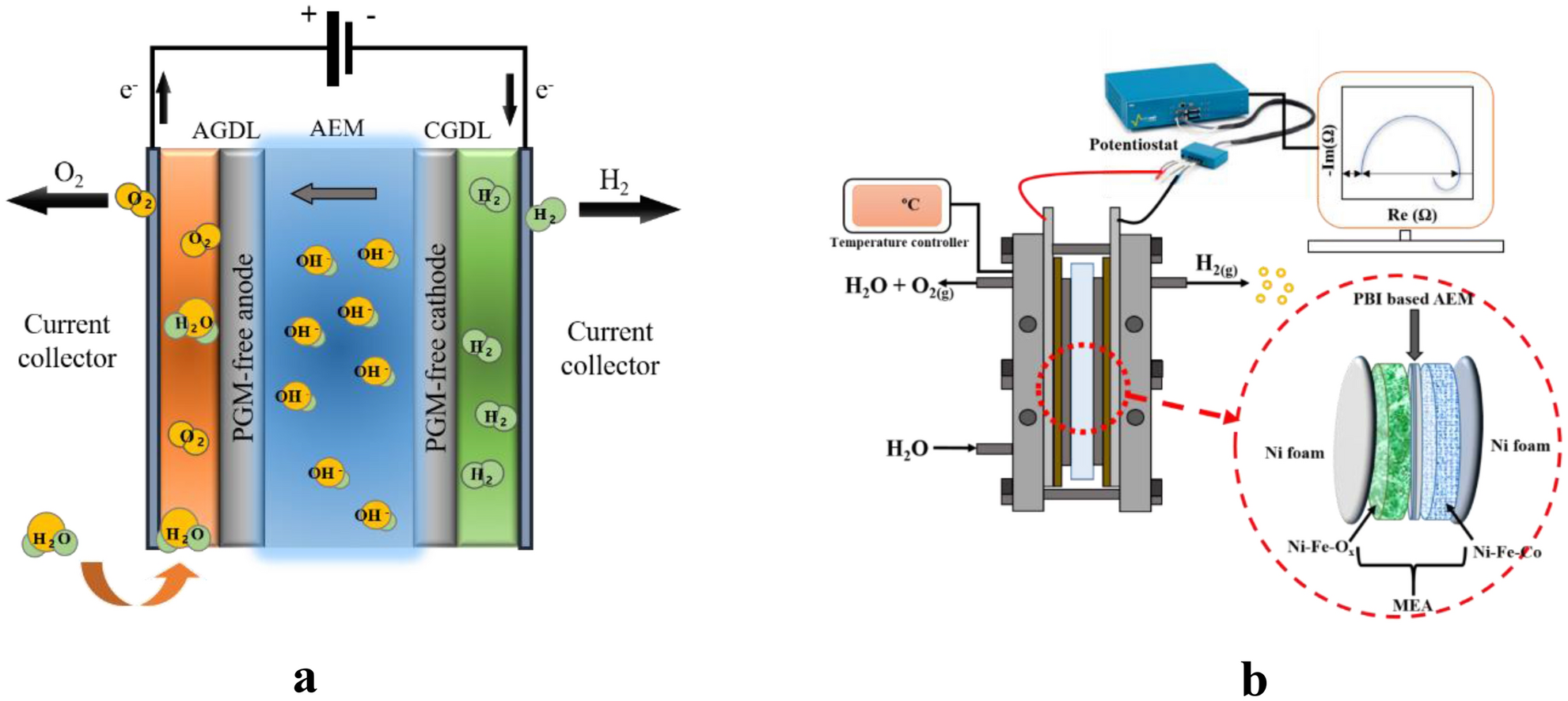 Effect of flow regime of circulating water on a proton exchange membrane  electrolyzer - ScienceDirect