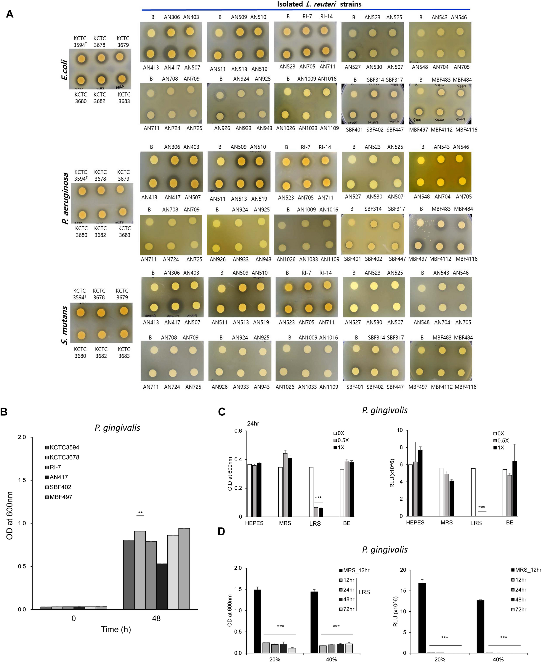 Lactobacillus Reuteri An417 Cell Free Culture Supernatant As A Novel Antibacterial Agent Targeting Oral Pathogenic Bacteria Scientific Reports
