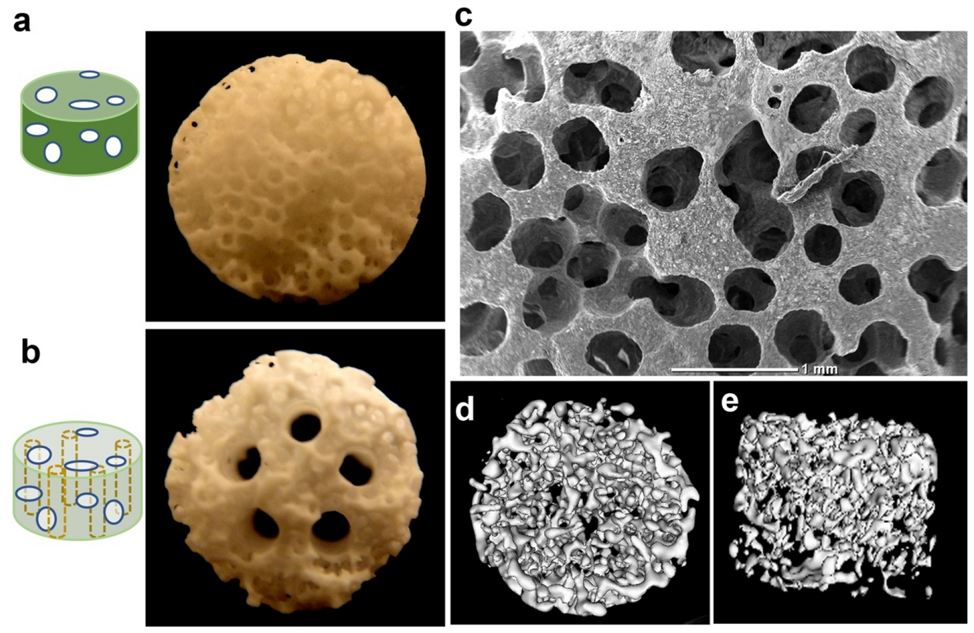 PDF) Development of hydroxiapatite porous bioceramics for use as