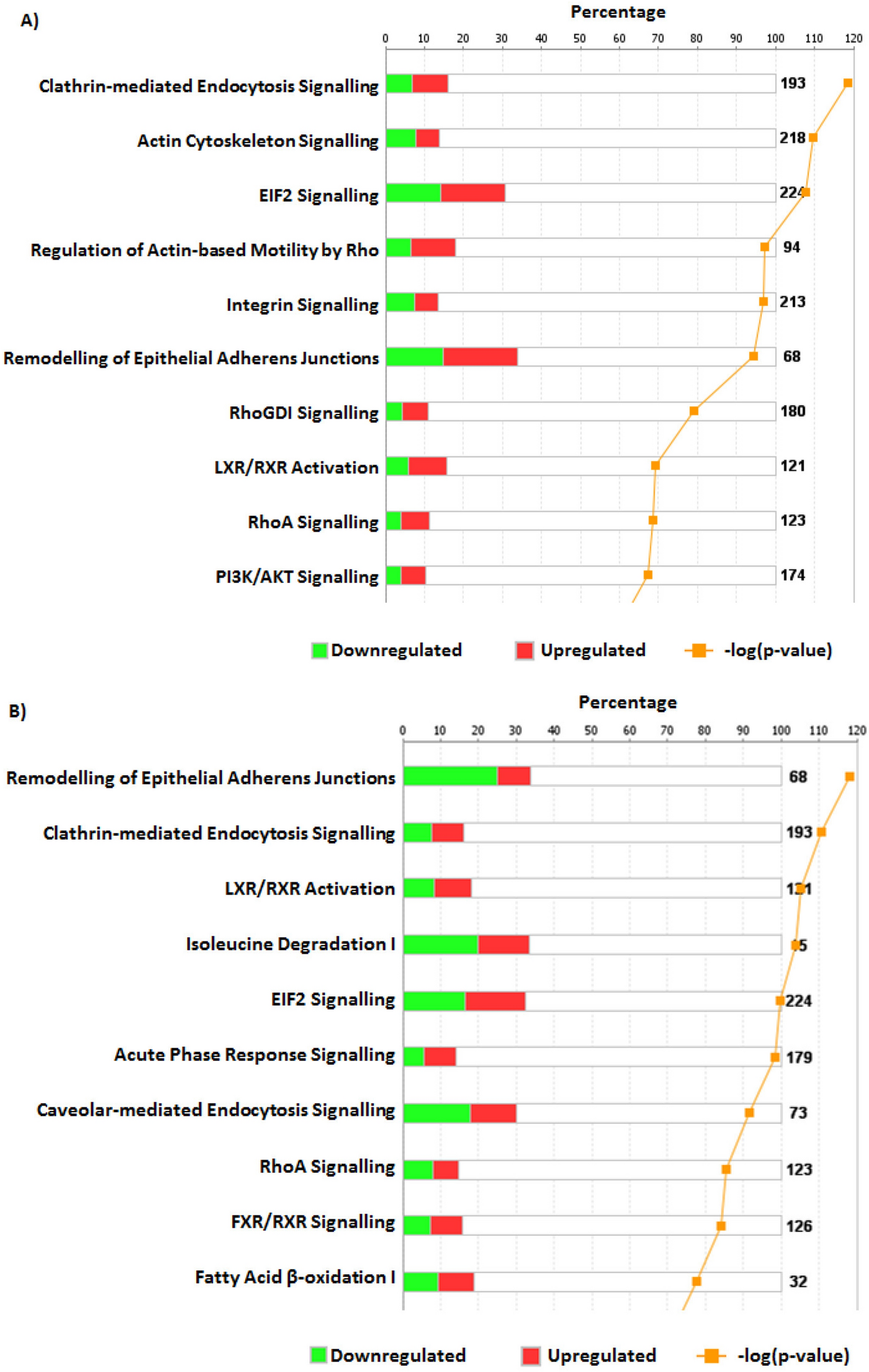Altered Protein O Glcnacylation In Placentas From Mothers With Diabetes Causes Aberrant Endocytosis In Placental Trophoblast Cells Scientific Reports