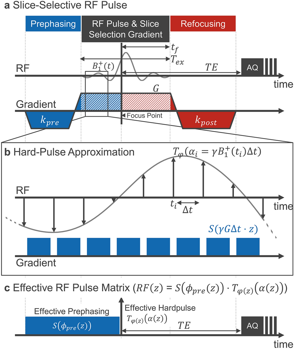 A Unifying View On Extended Phase Graphs And Bloch Simulations For Quantitative Mri Scientific Reports