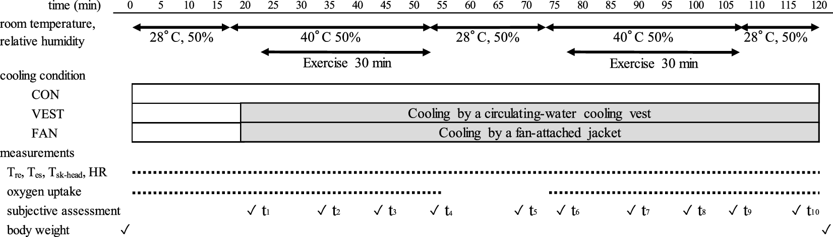 A fan-attached jacket worn in an environment exceeding body temperature  suppresses an increase in core temperature