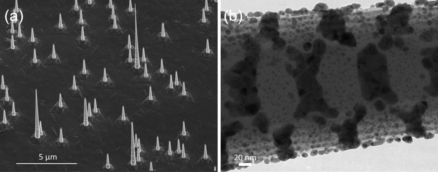 Effect of Au substrate and coating on the lasing characteristics of GaAs  nanowires | Scientific Reports