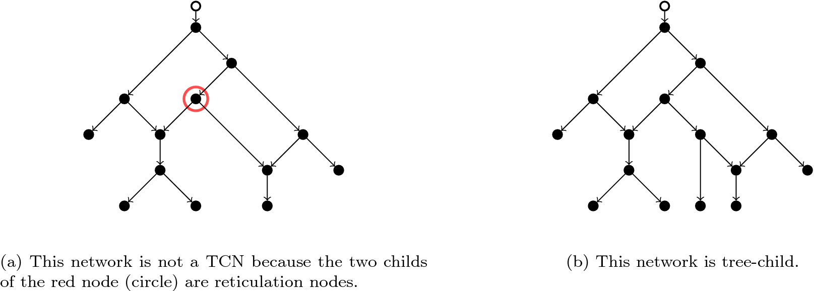 Introduction to Tree Configurations 