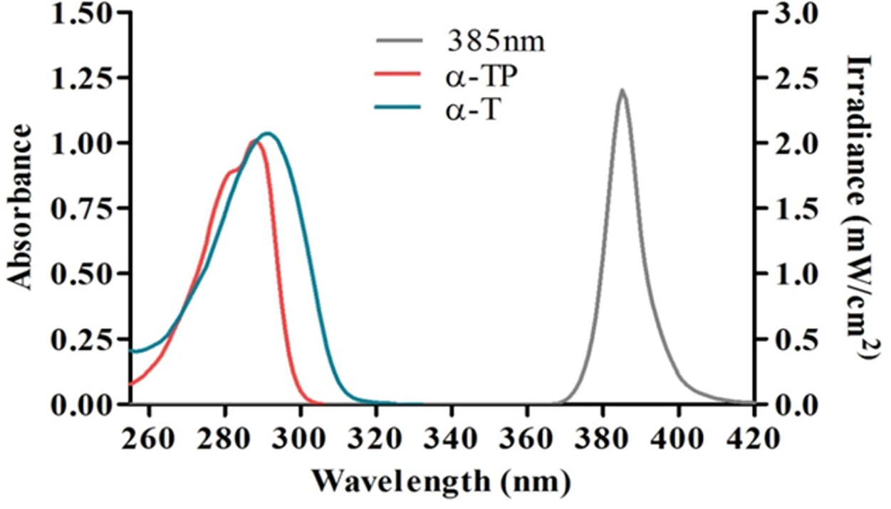 The photoprotective properties of α-tocopherol phosphate against long-wave  UVA1 (385 nm) radiation in keratinocytes in vitro | Scientific Reports