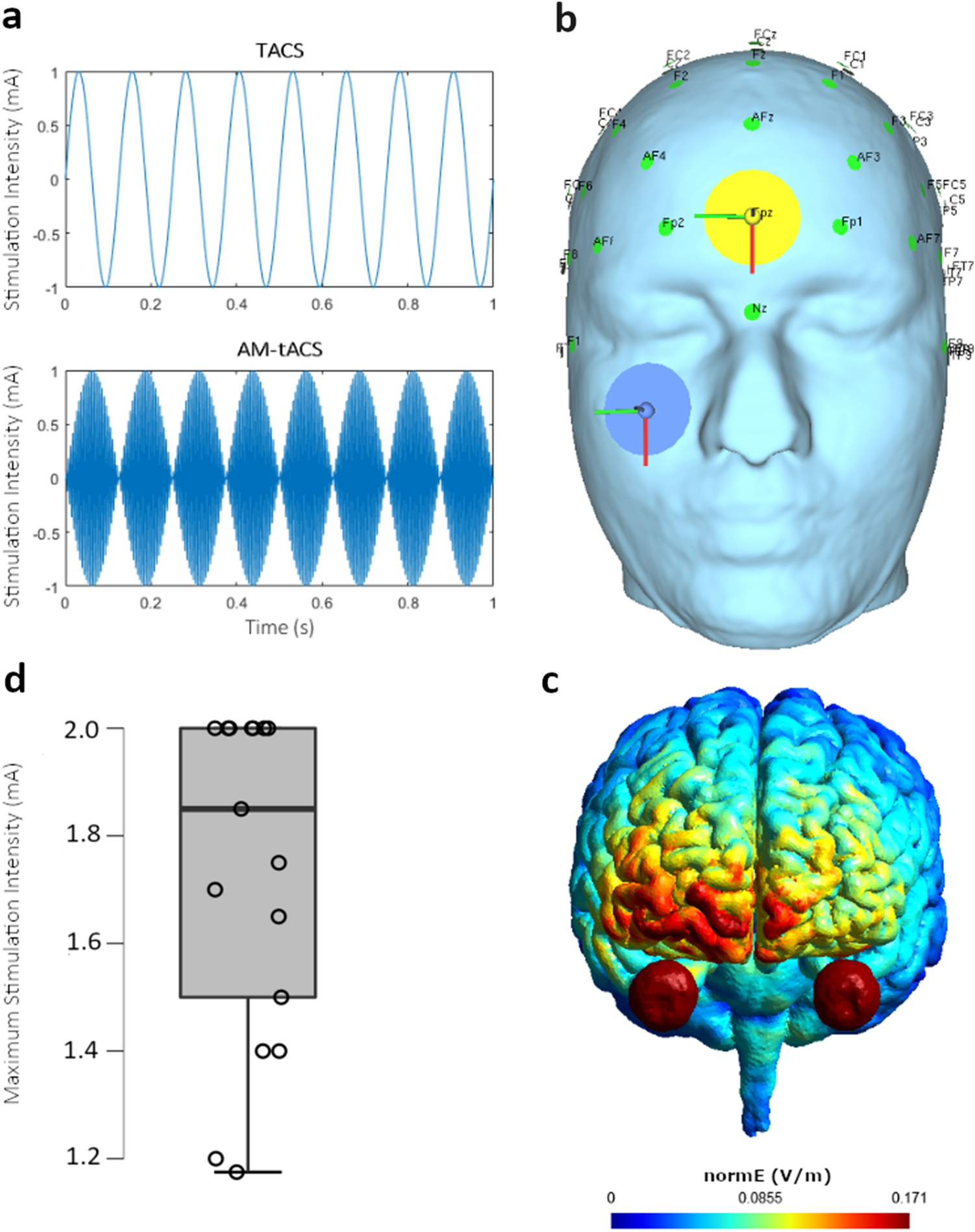 Amplitude modulated transcranial alternating current stimulation (AM-TACS)  efficacy evaluation via phosphene induction