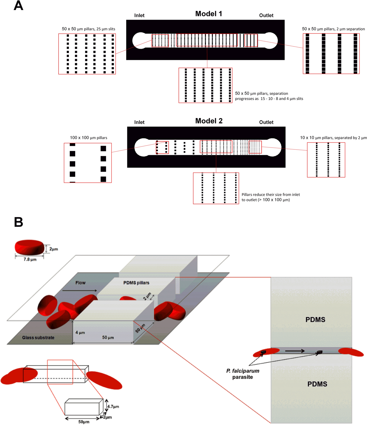 Pitting of malaria parasites in microfluidic devices mimicking interendothelial | Scientific Reports