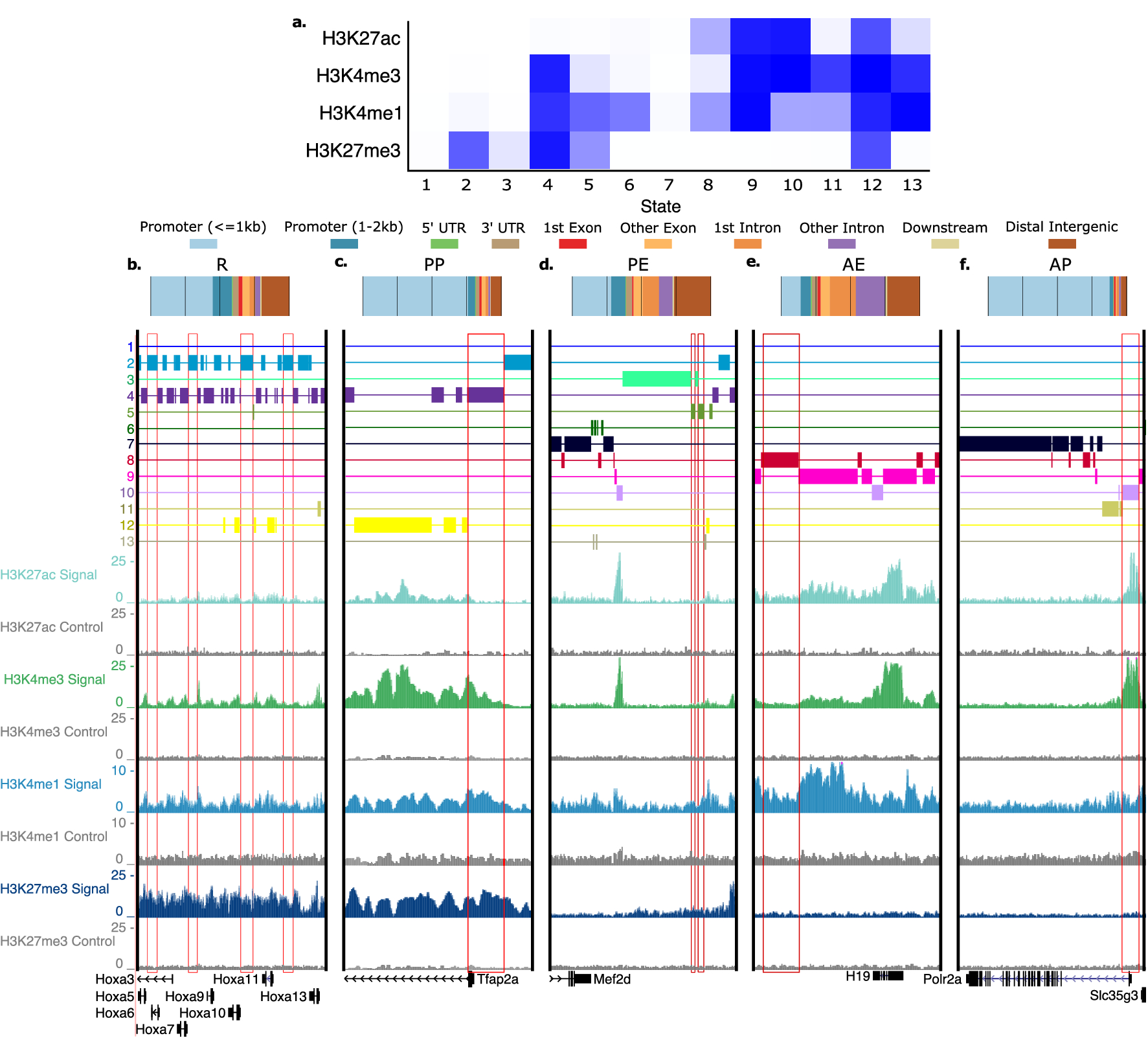 Mapping cis-regulatory elements in the midgestation mouse placenta |  Scientific Reports