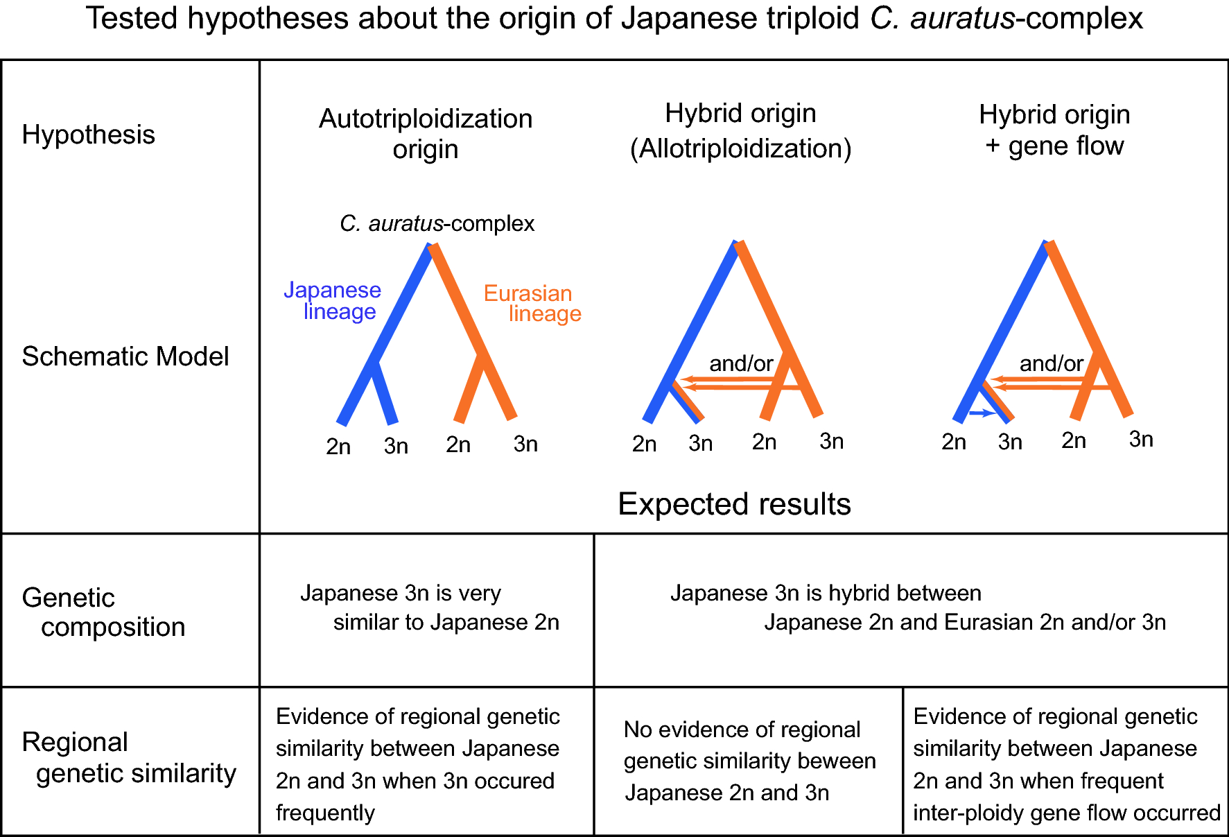 Interploidy gene flow involving the sexual-asexual cycle facilitates the diversification of gynogenetic triploid Carassius fish | Scientific Reports Interploidy gene flow involving the sexual-asexual cycle facilitates the diversification of gynogenetic triploid Carassius fish | Scientific Reports