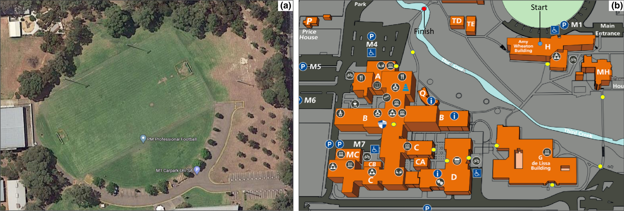 EEG and behavioral correlates of attentional processing while walking and  navigating naturalistic environments | Scientific Reports