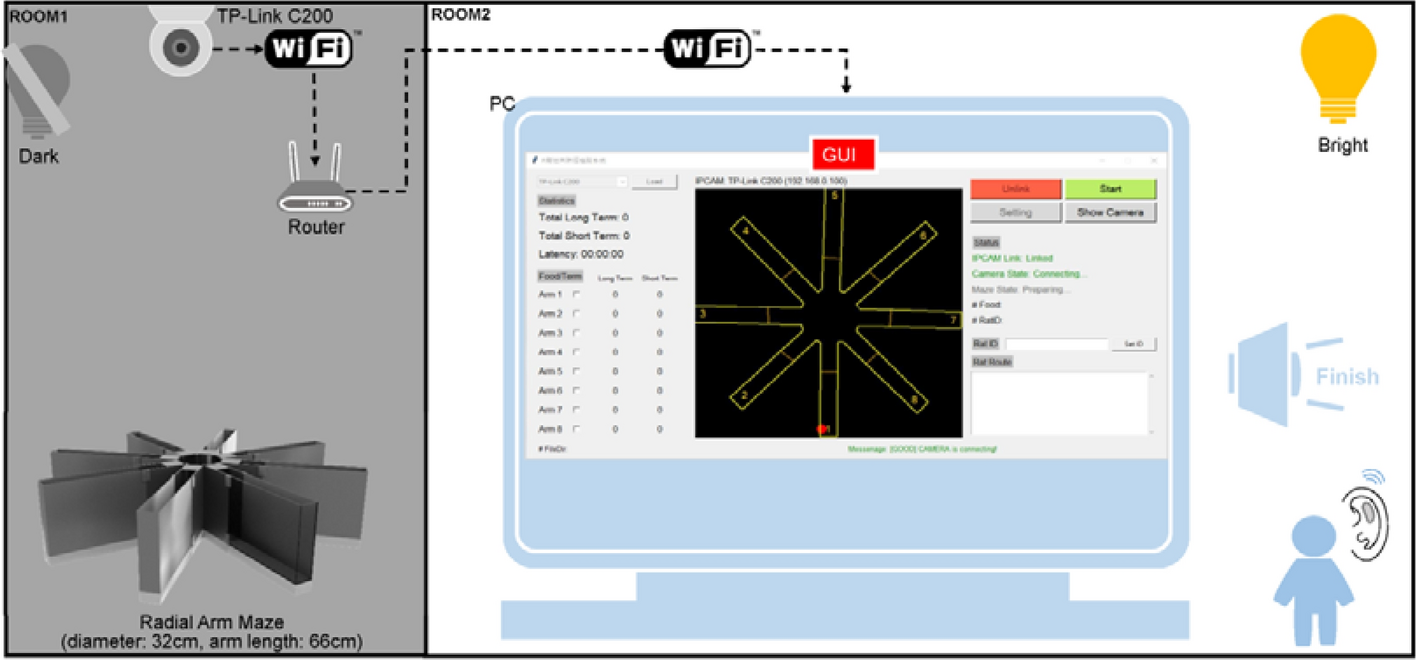 any-maze software copy licence