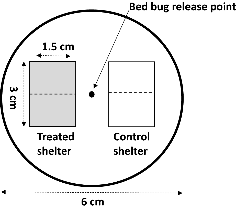 Human Skin Triglycerides Prevent Bed Bug Cimex Lectularius L Arrestment Scientific Reports