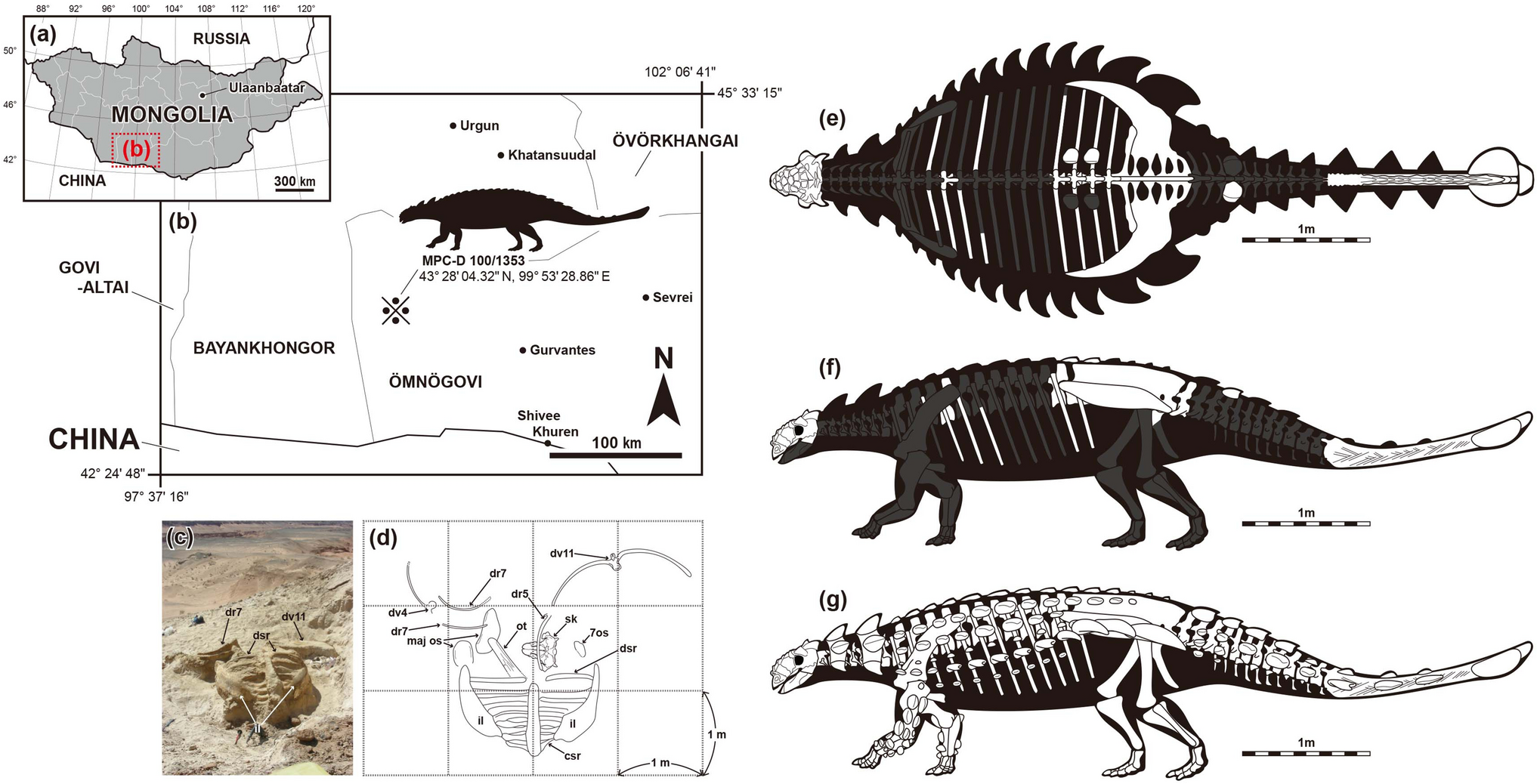 A Living Dinosaur?: In Search of by MacKal, Roy P.