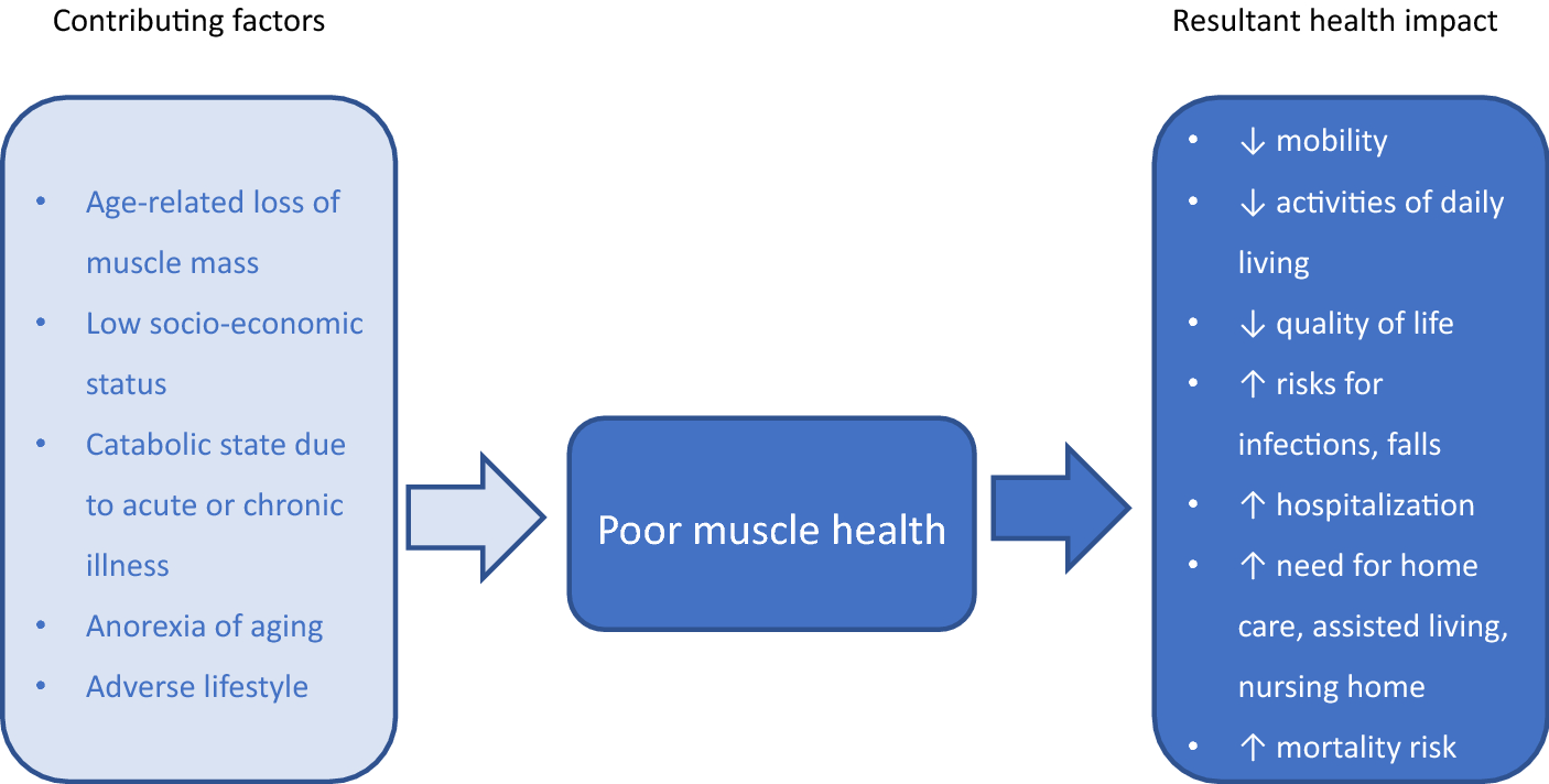 Prevalence of low muscle mass and associated factors in community ...